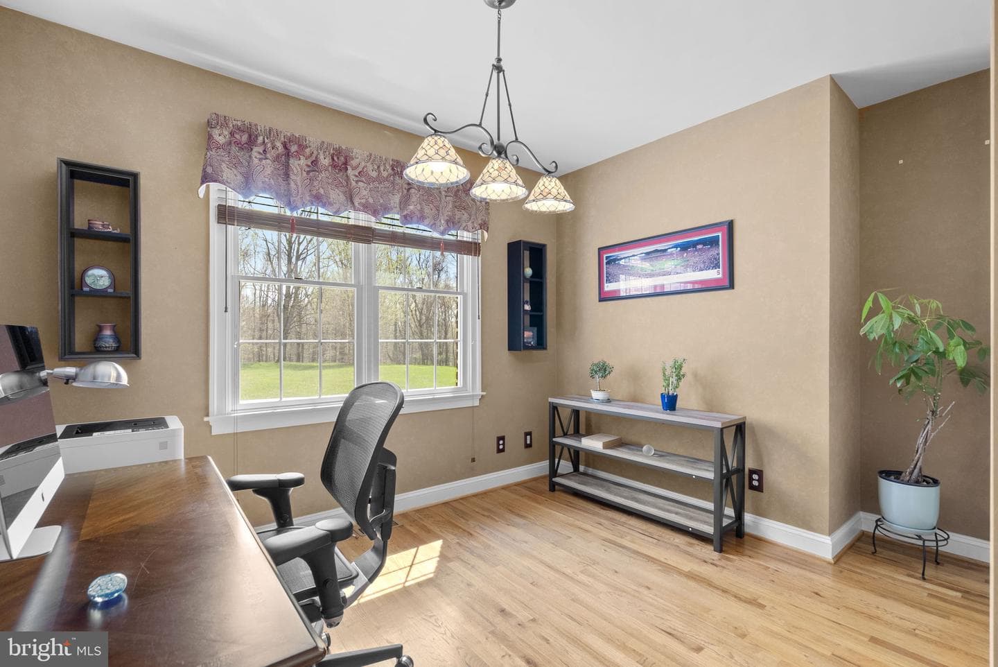 14826 Sapling Way photo 32