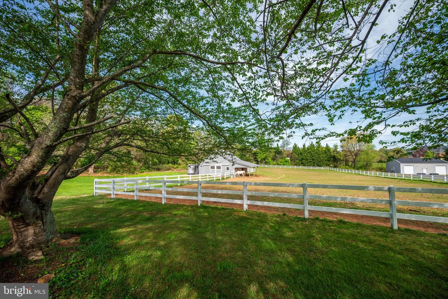 12850 Highland Road photo 51