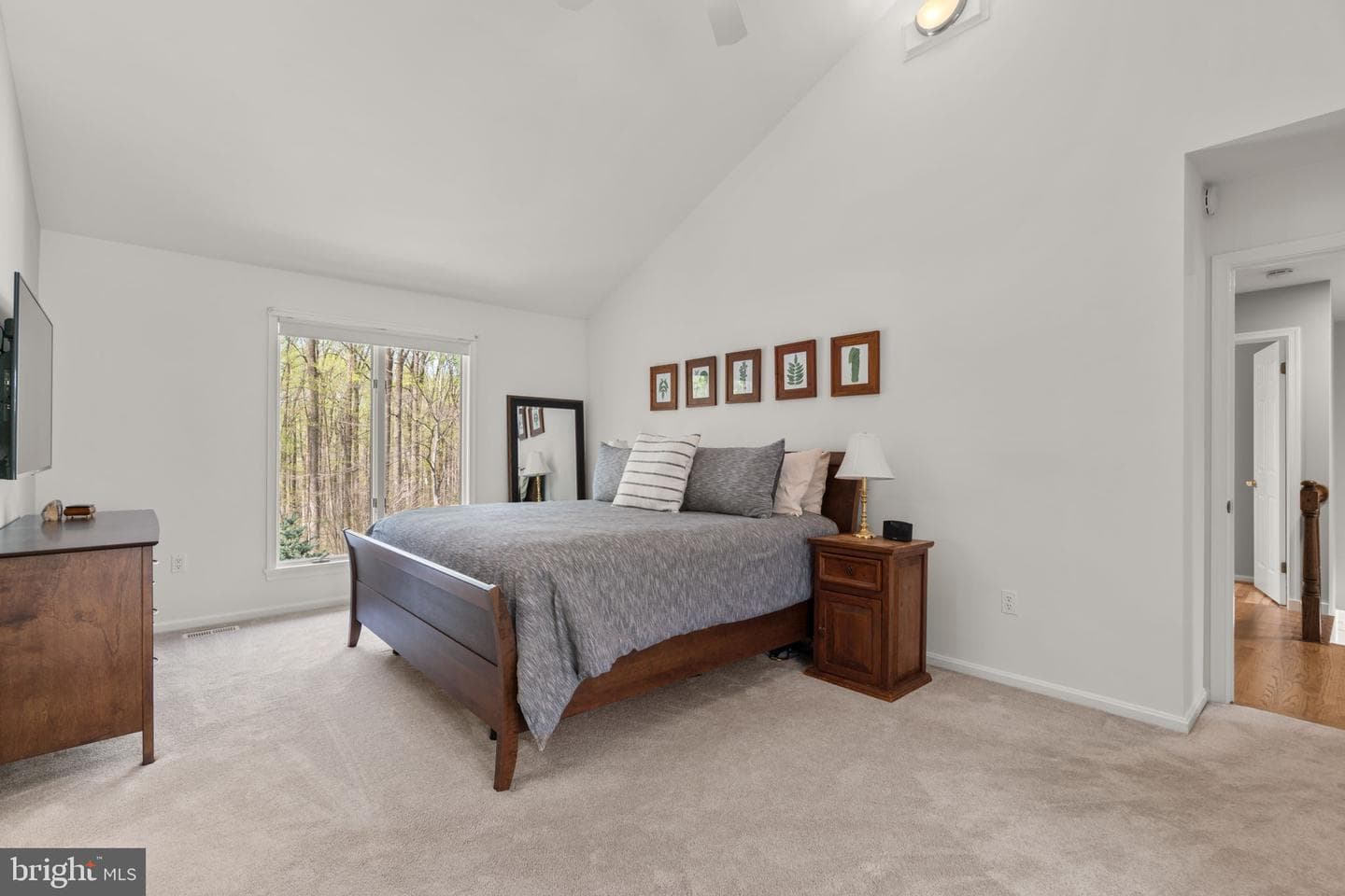 7310 Meadow Wood Way photo 30