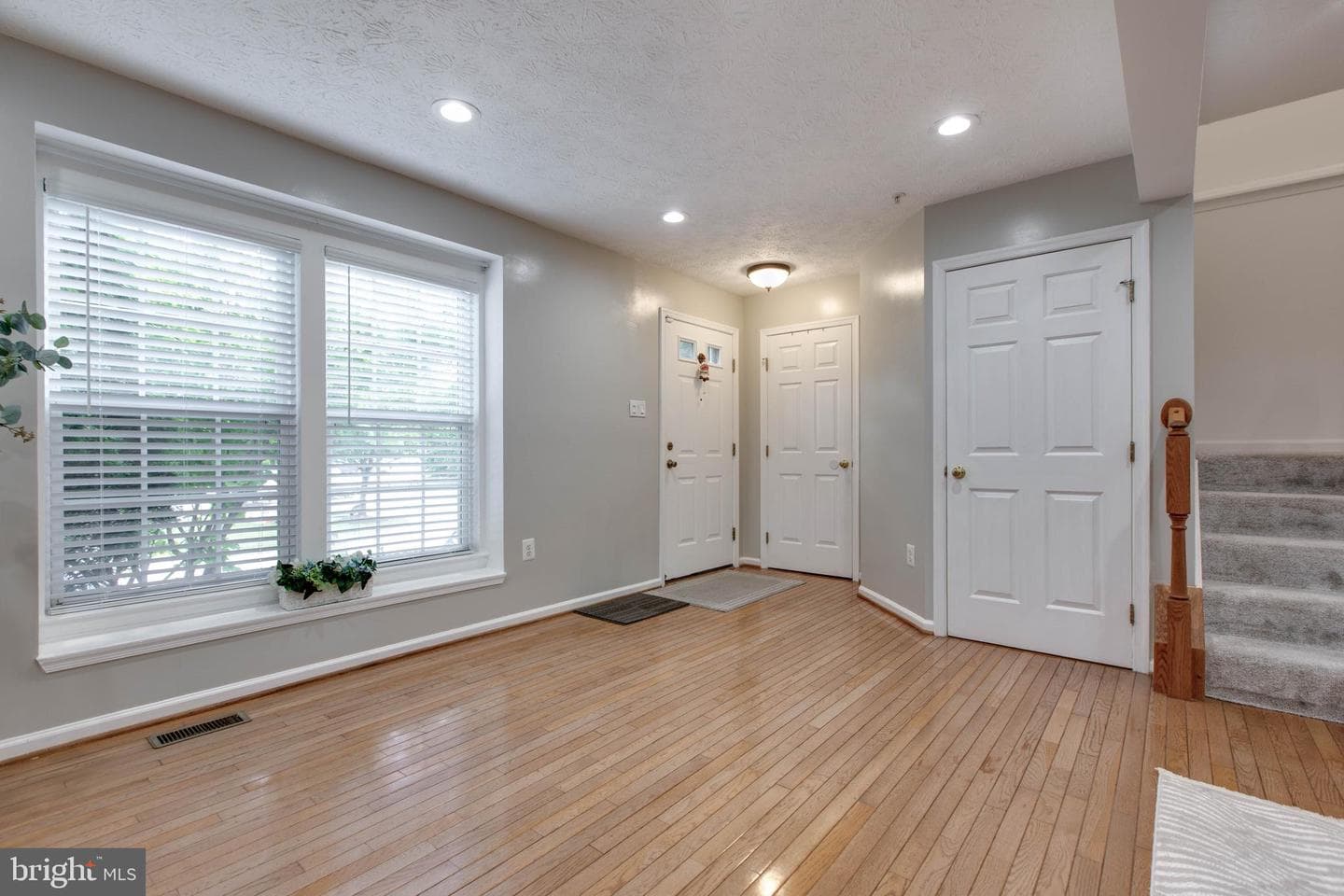 8893 Papillon Drive photo 5
