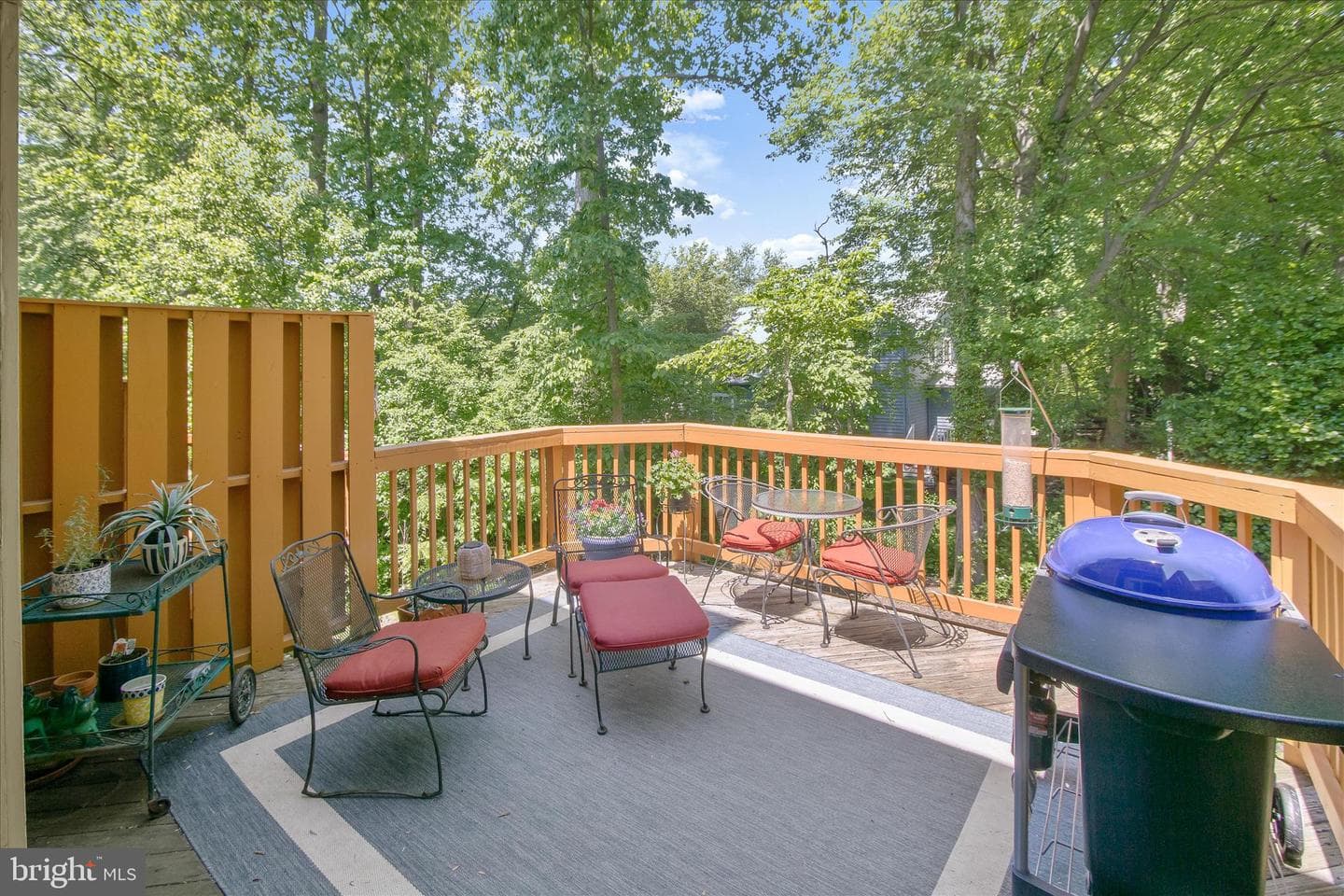 5936 Cedar Fern Court photo 38