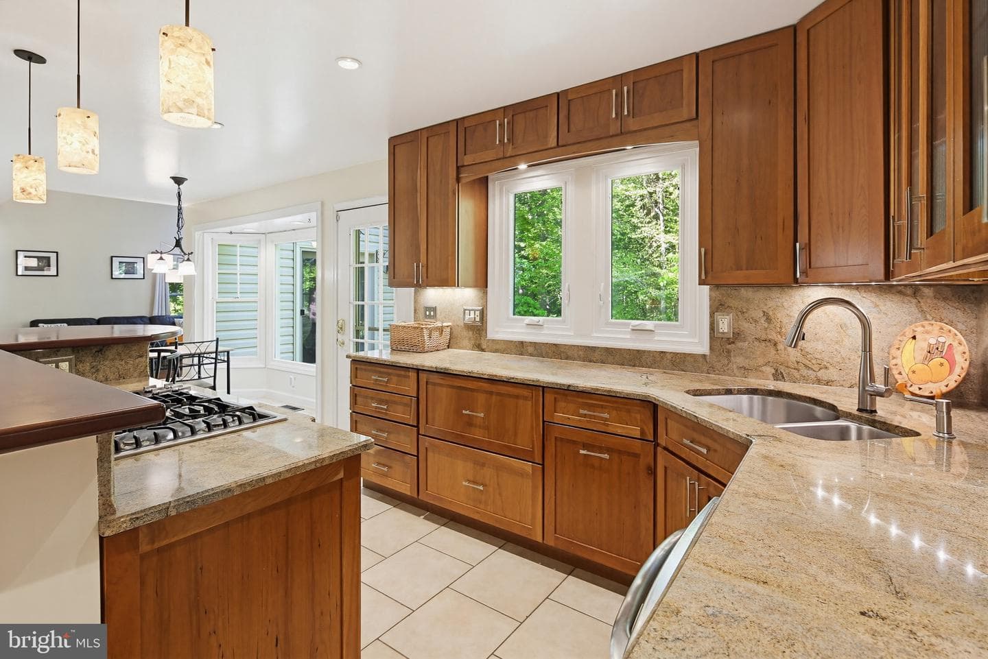 8368 Sand Cherry Lane photo 20