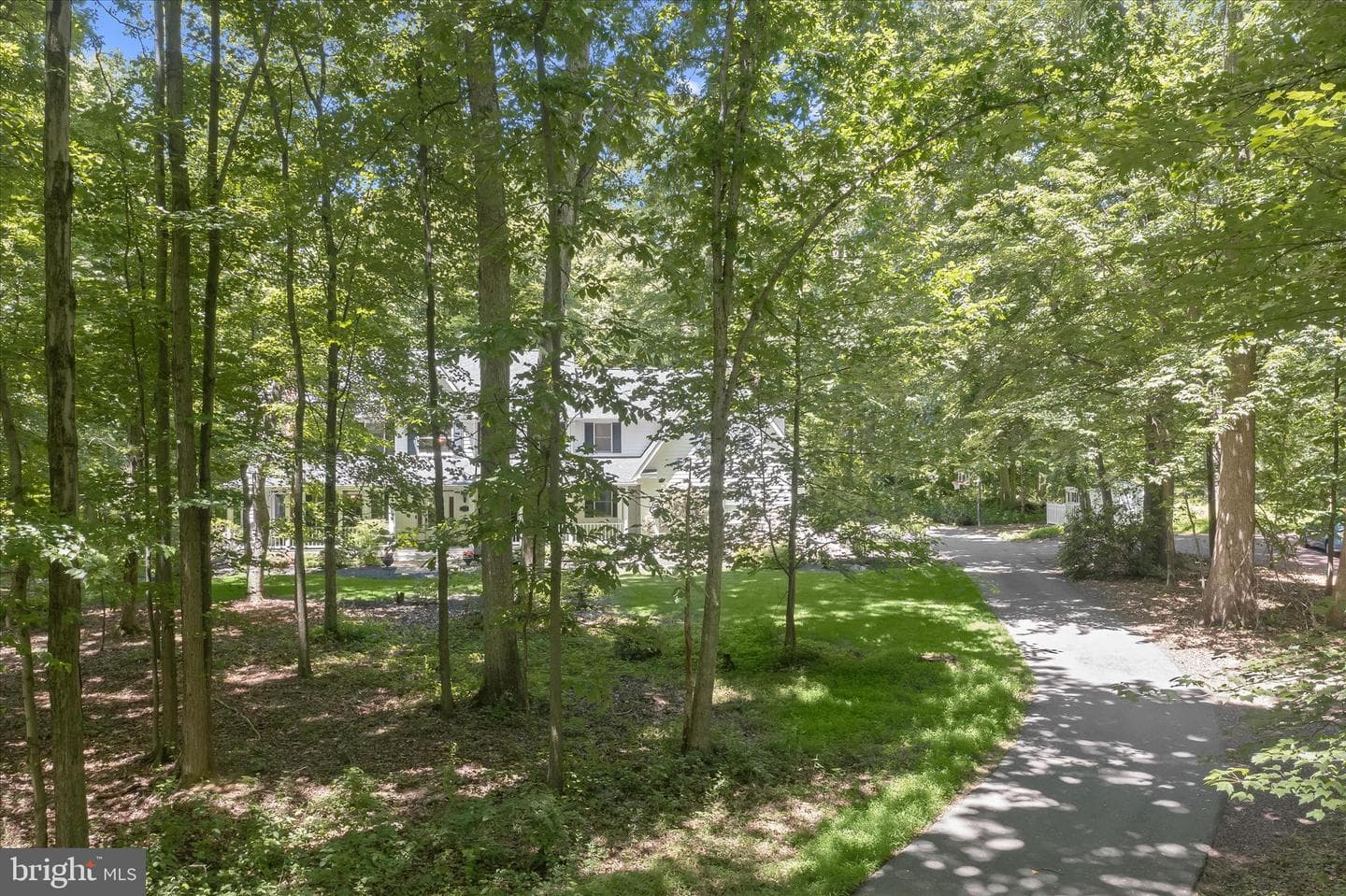 2846 Shadow Roll Court photo 94