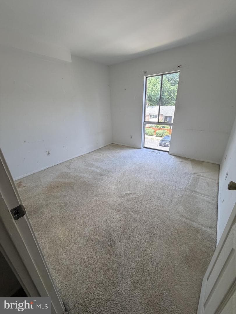 10838 Green Mountain Circle photo 8