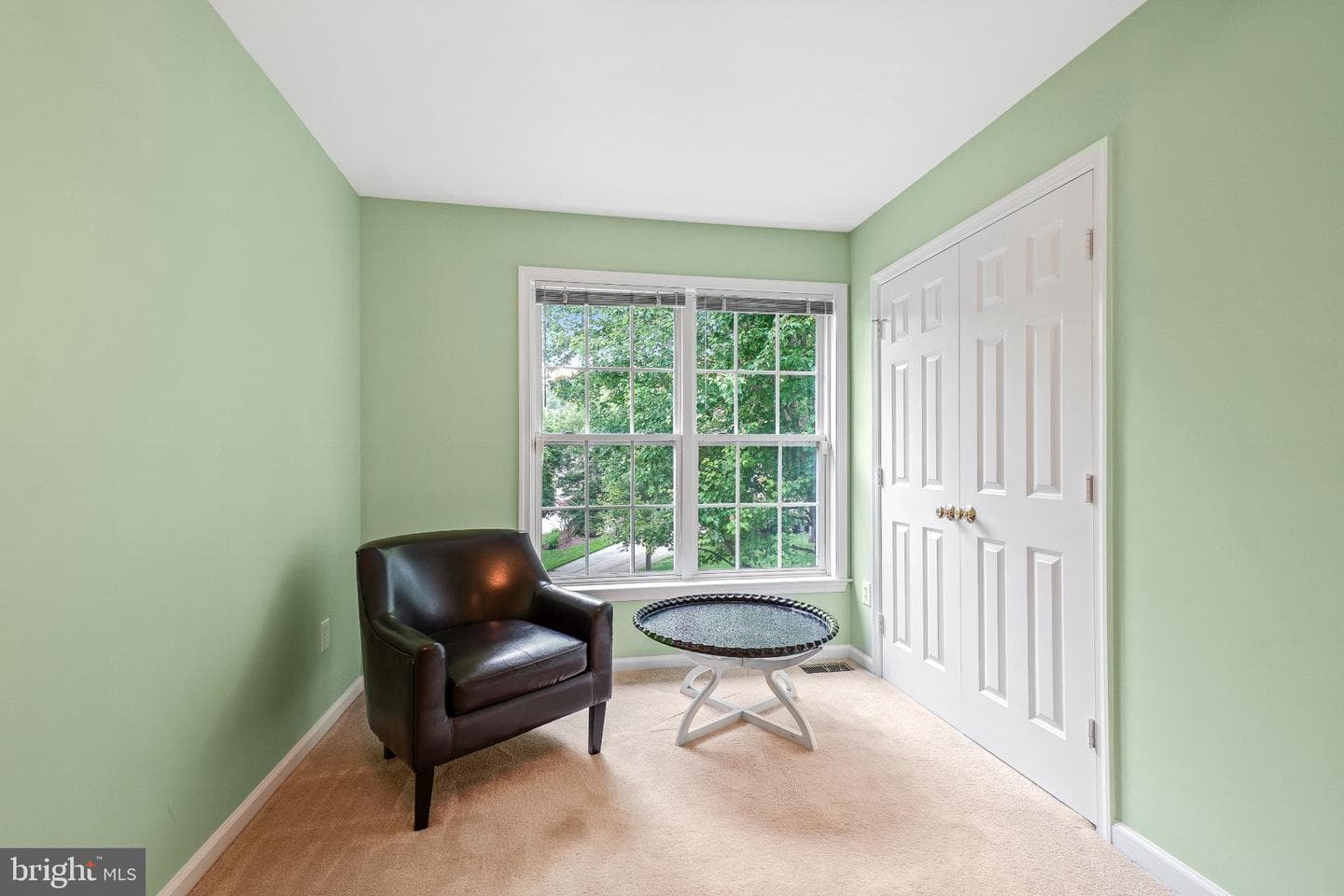 6217 Lilac Bush Lane photo 46