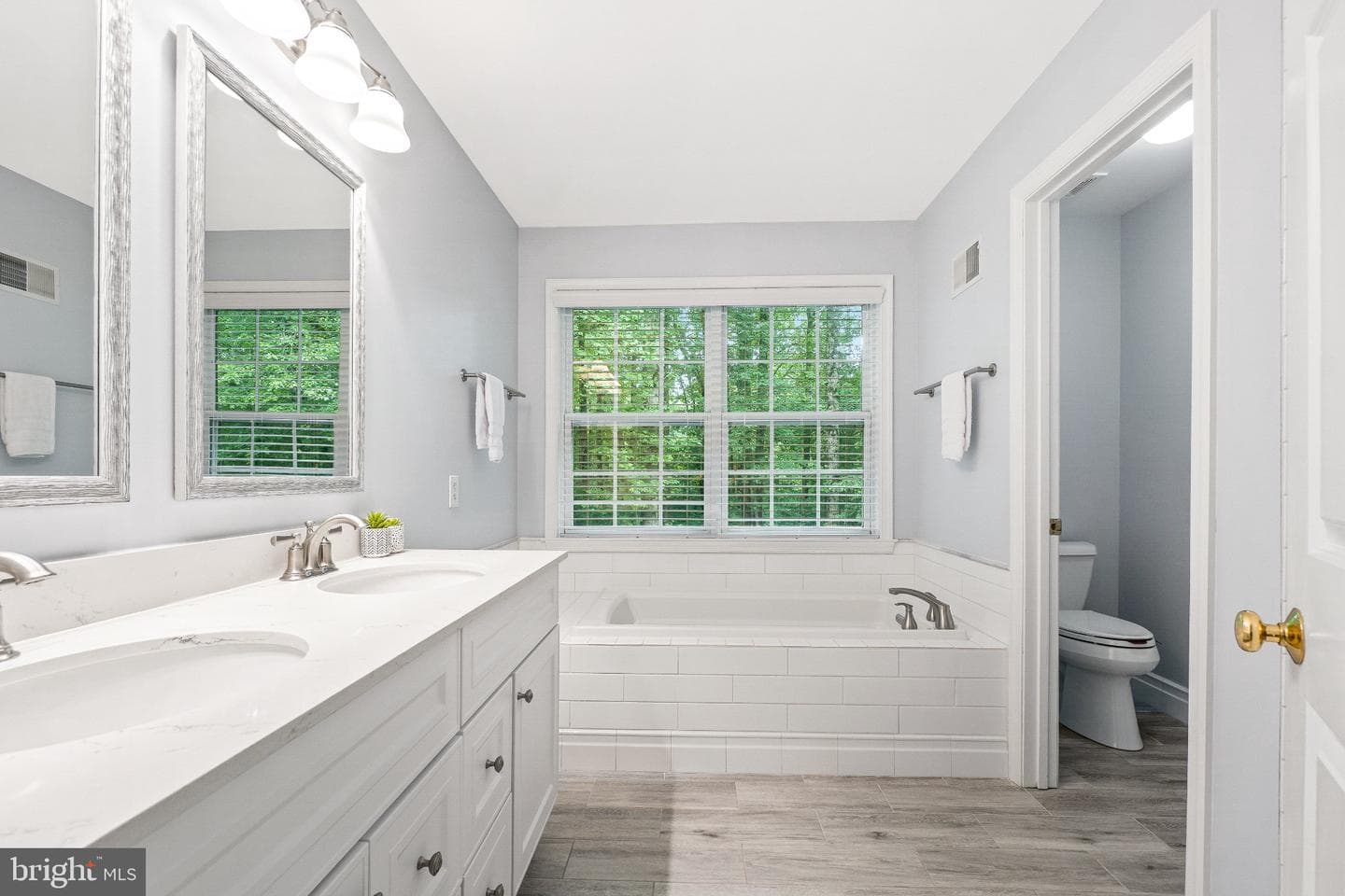 6217 Lilac Bush Lane photo 53