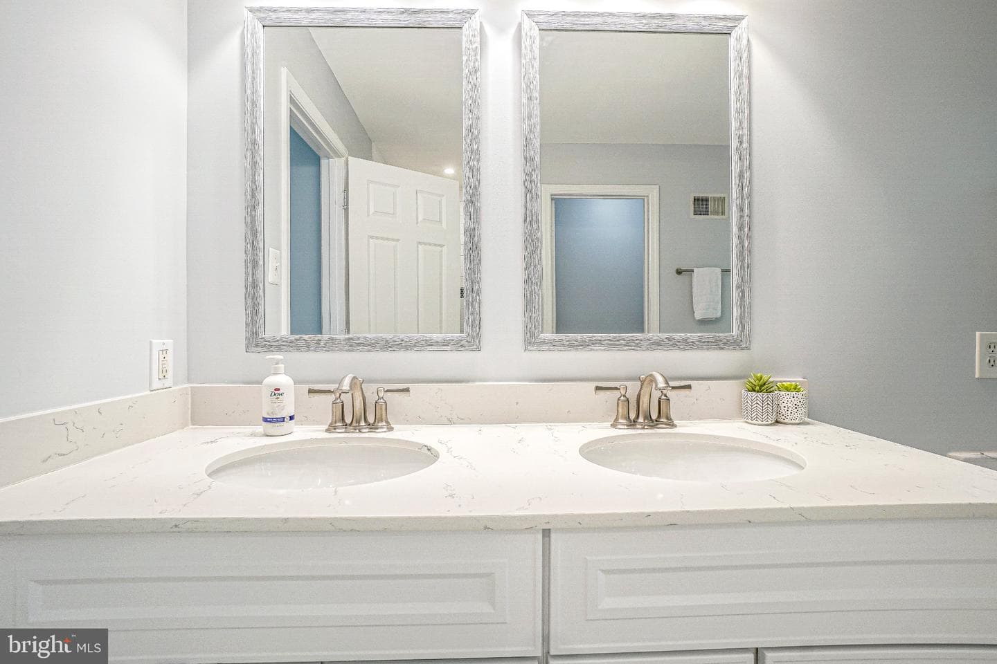 6217 Lilac Bush Lane photo 54