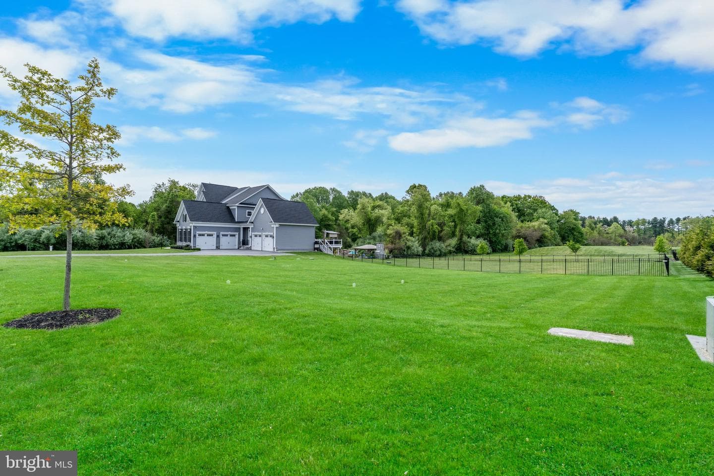 12201 Mayapple Drive photo 5