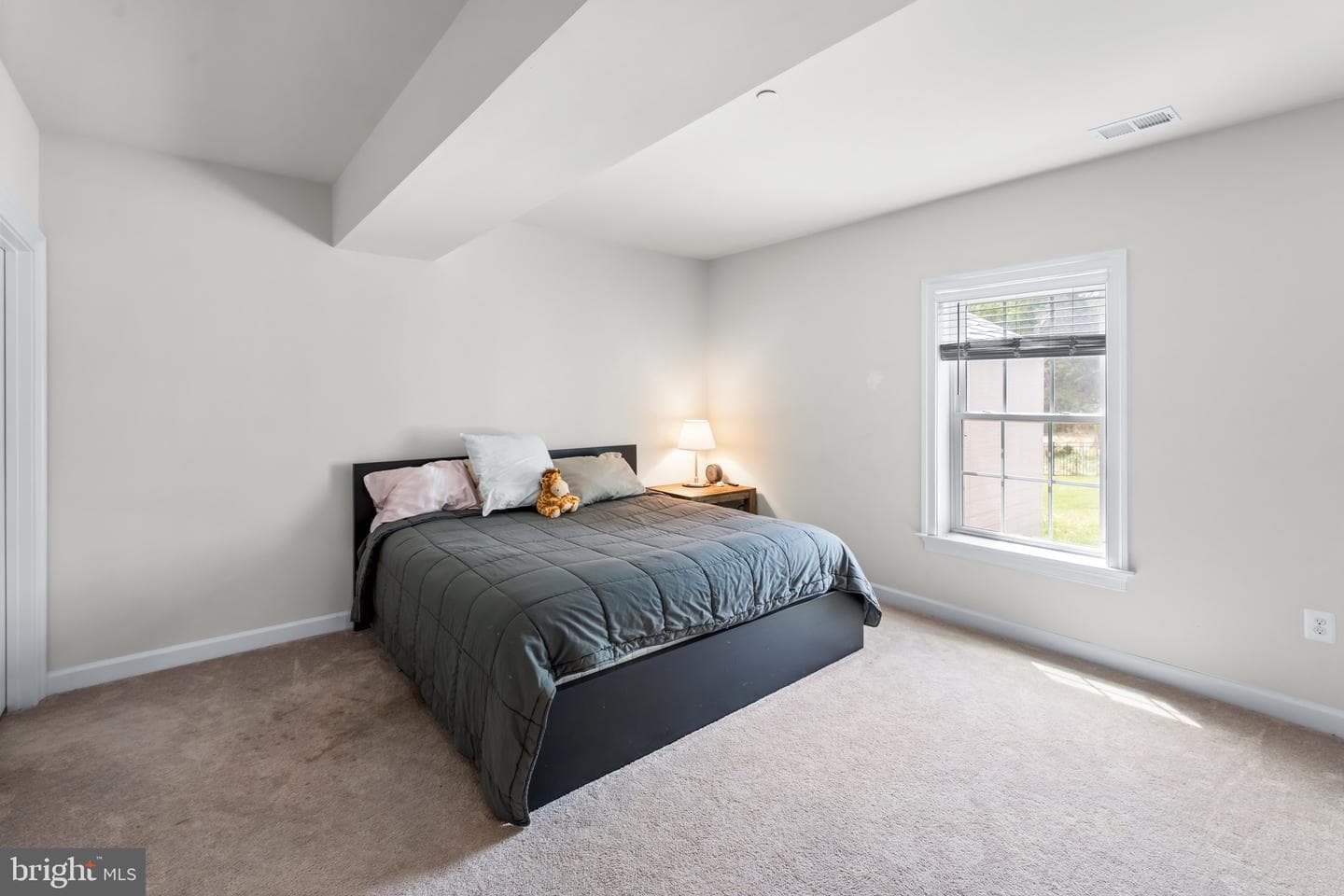 12201 Mayapple Drive photo 60