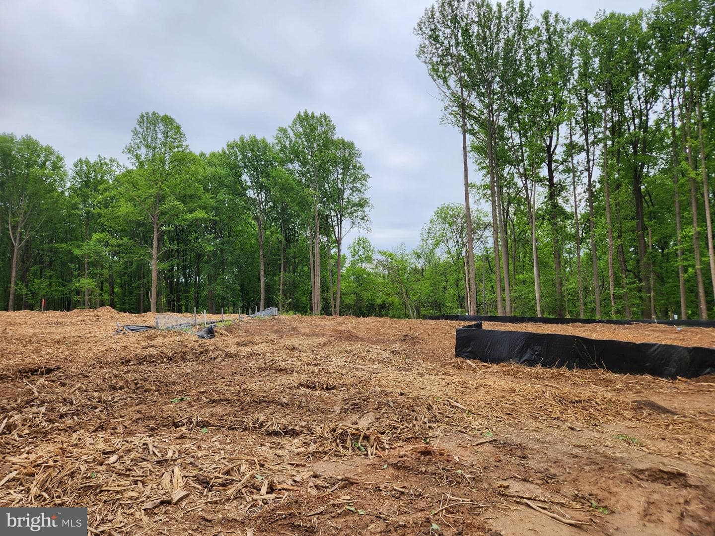 13823 Brighton Dam Road photo 31