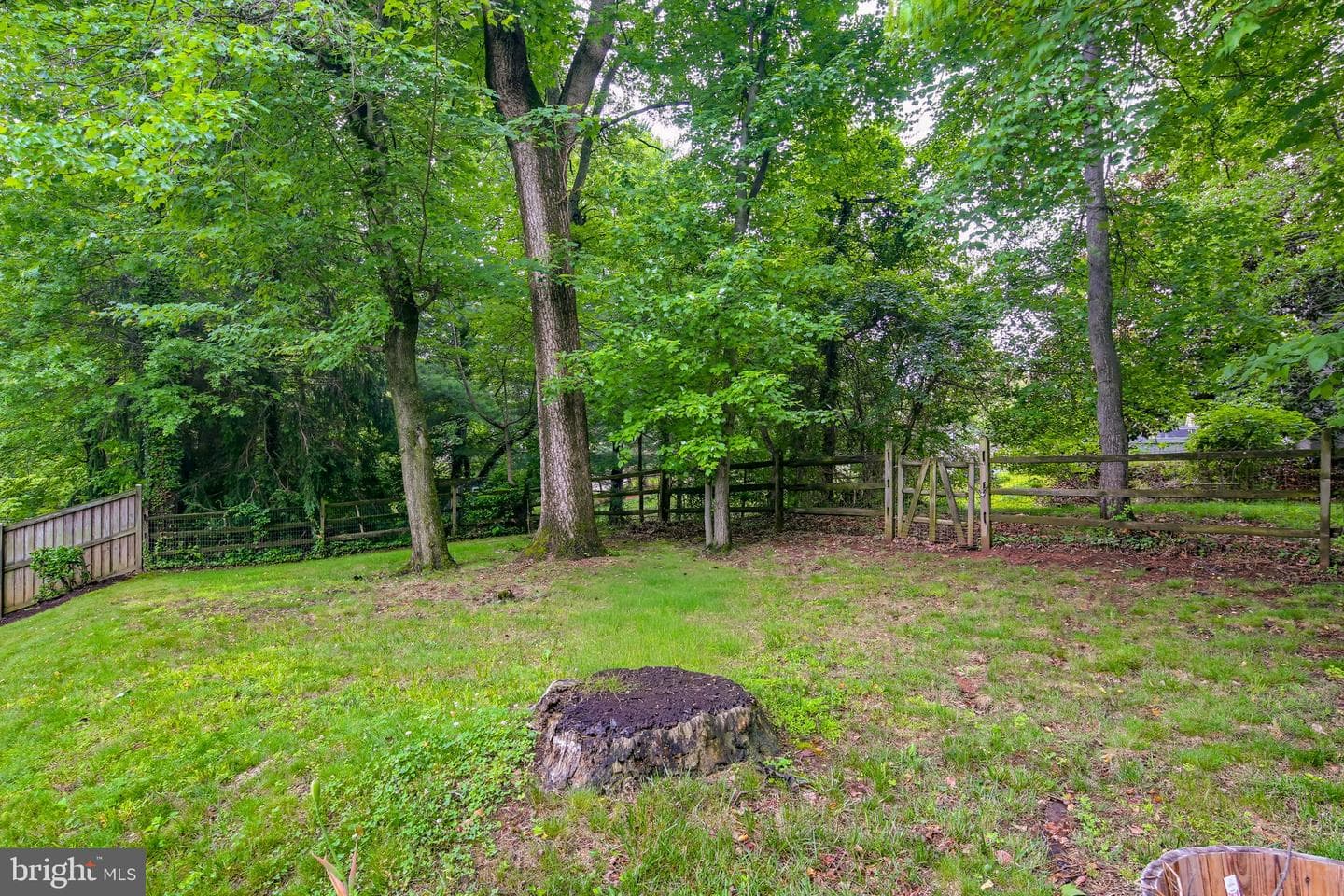 10206 Blandford Way photo 58