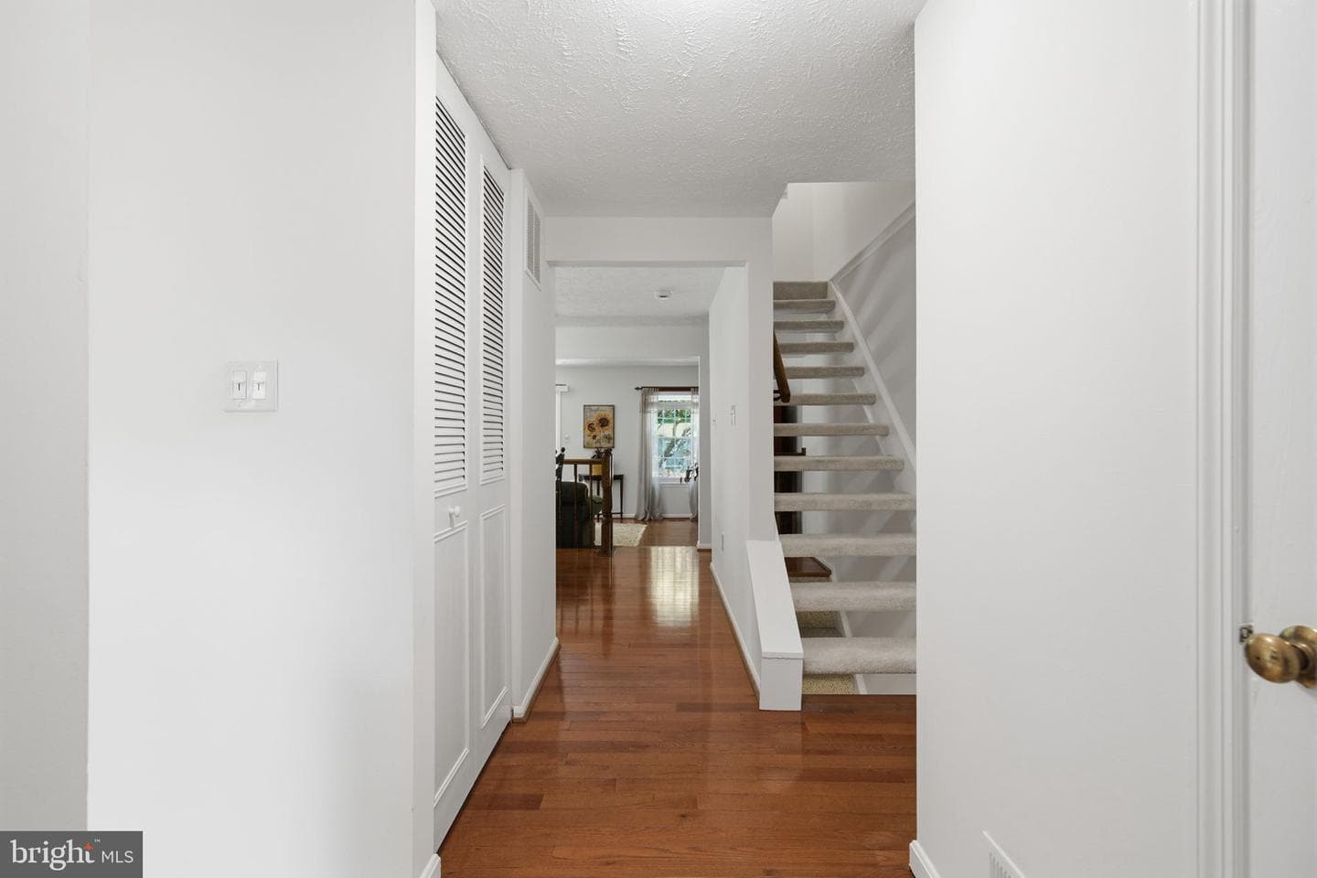 10893 Olde Woods Way photo 5