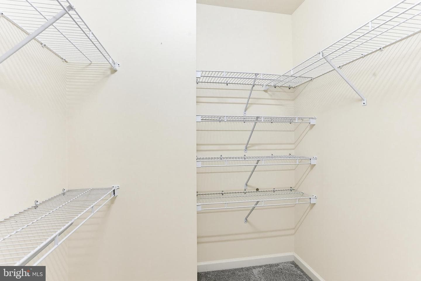 12157 Flowing Water Trail photo 47