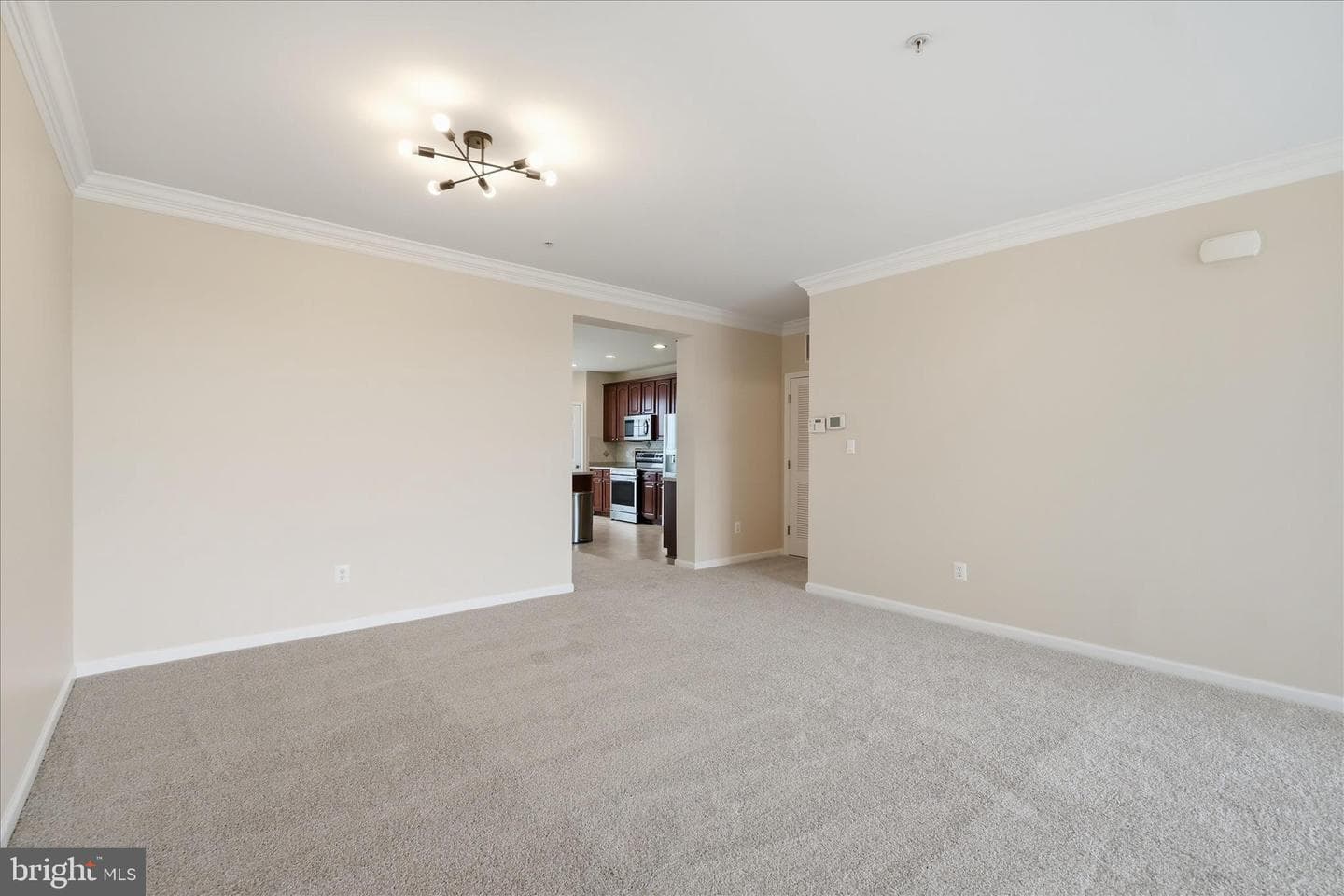 8119 Mission Hill Place #30 photo 11