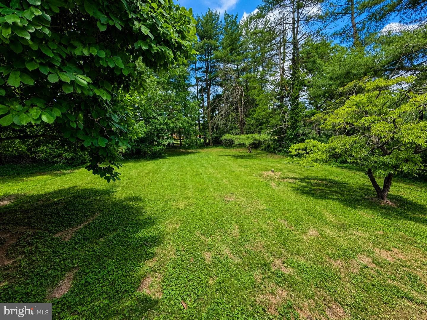 11295 Old Hopkins Road photo 14