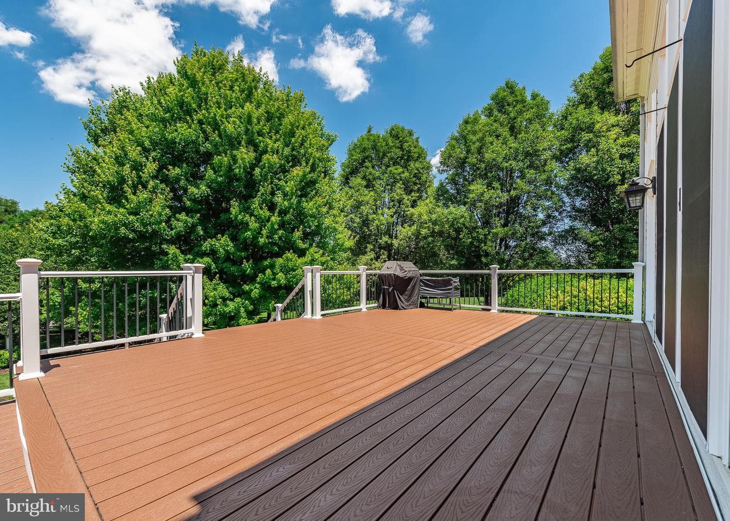 13728 Bold Venture Drive photo 49