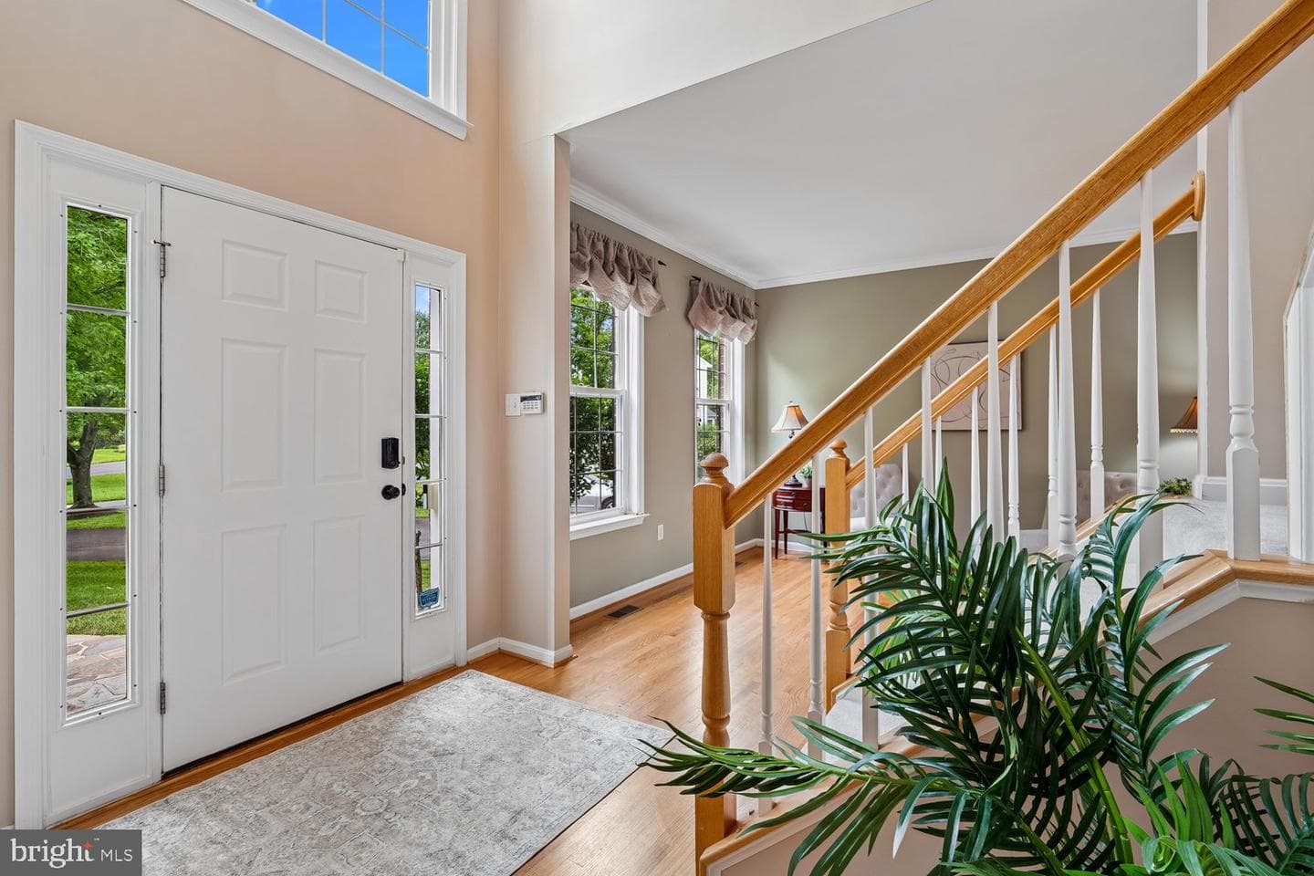 8608 Lawrence Mill Court photo 4