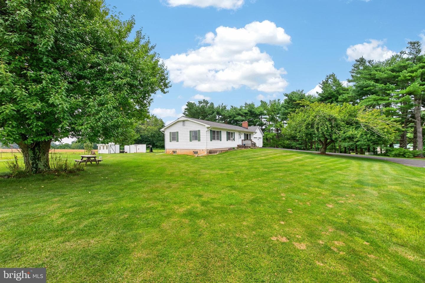 13835 Howard Road photo 3