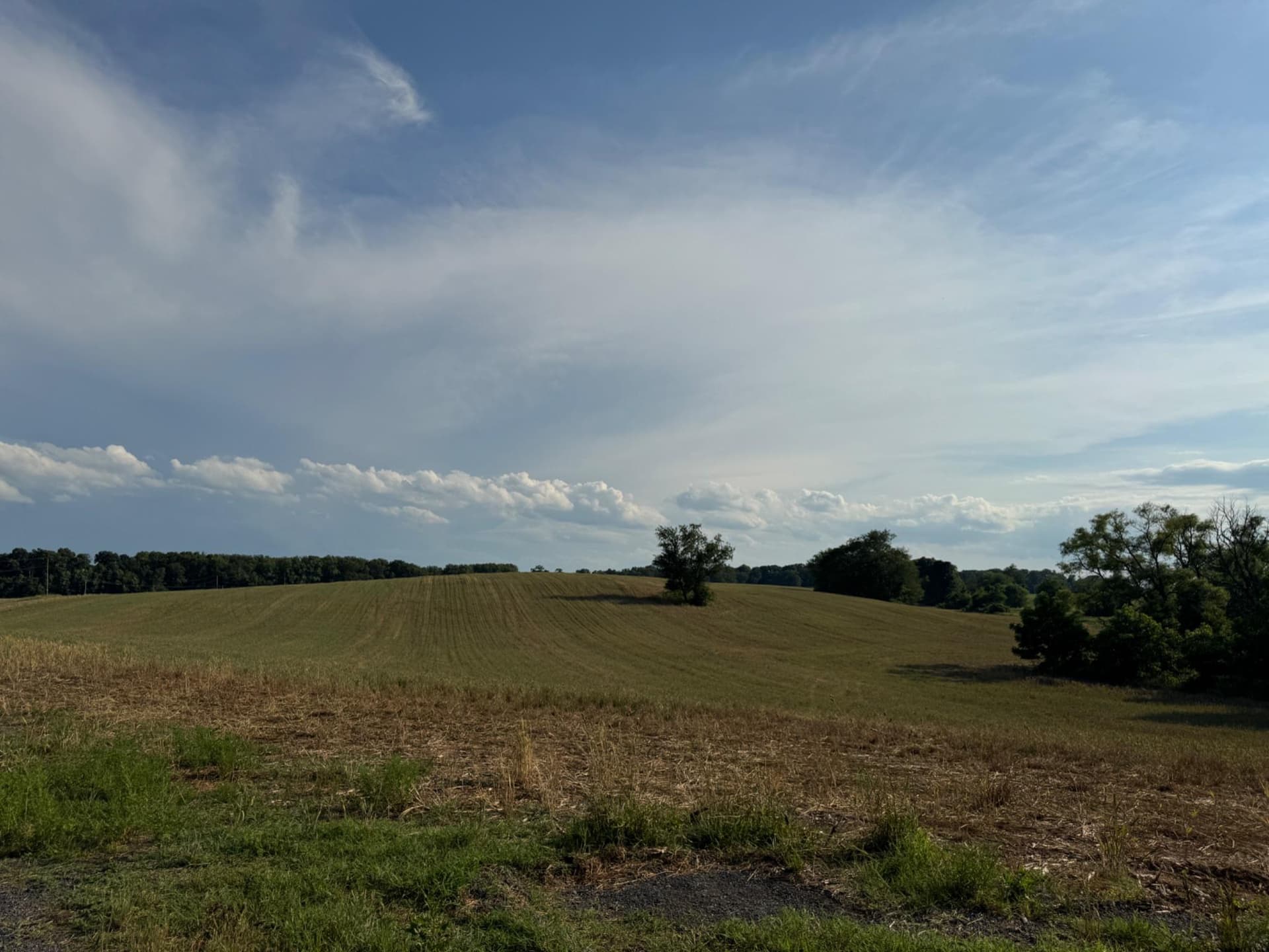 13090 Old Frederick Road photo 29
