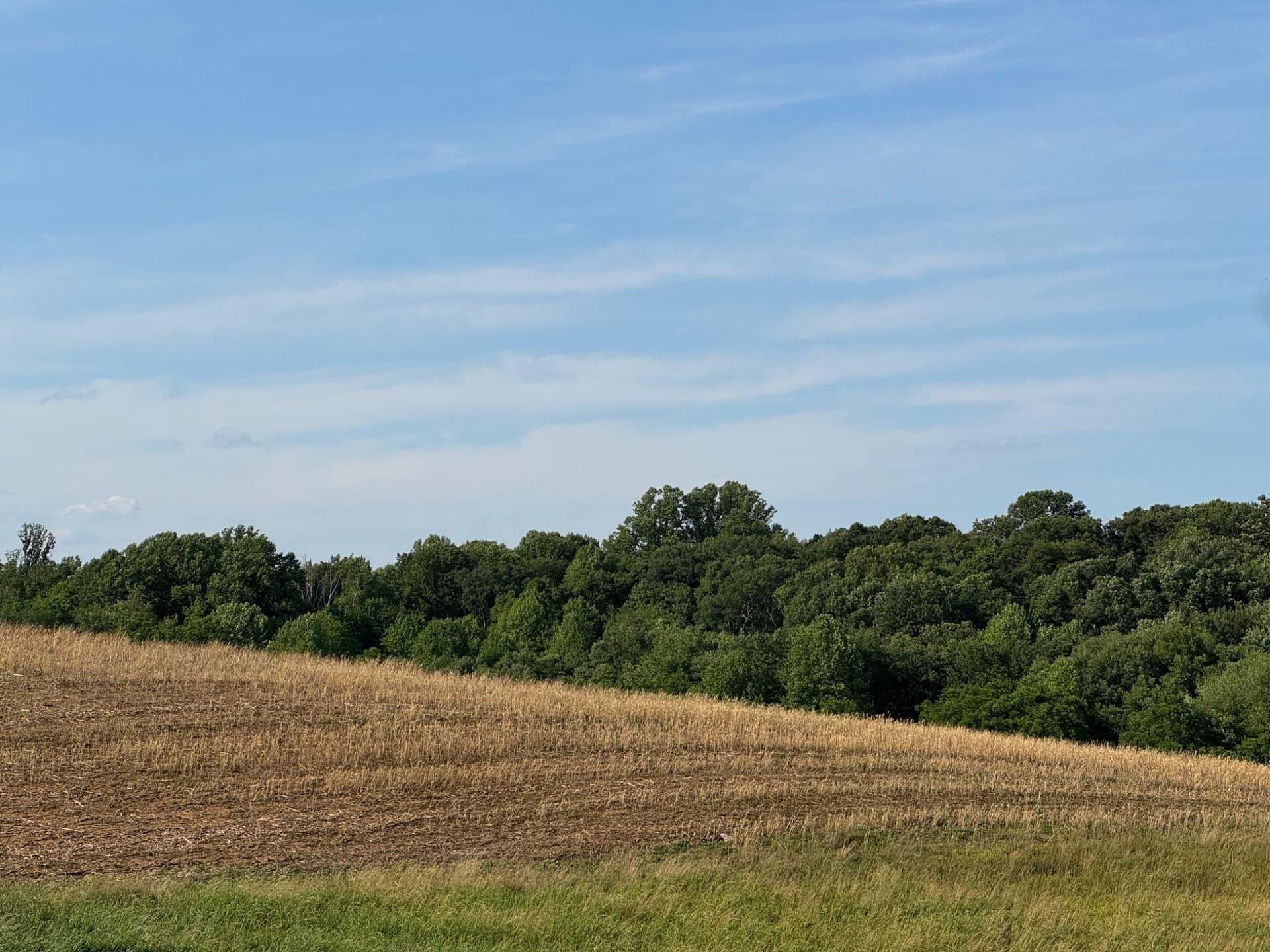 13090 Old Frederick Road photo 31