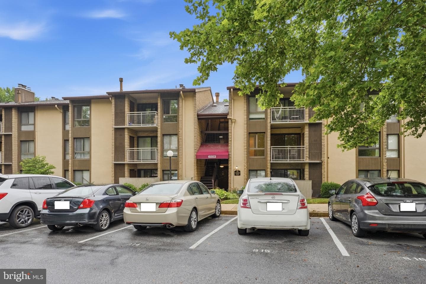 6003 Majors Lane #8 O20 photo 23