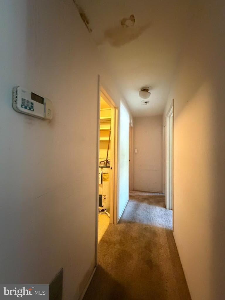 5364 Smooth Meadow Way #6 photo 13