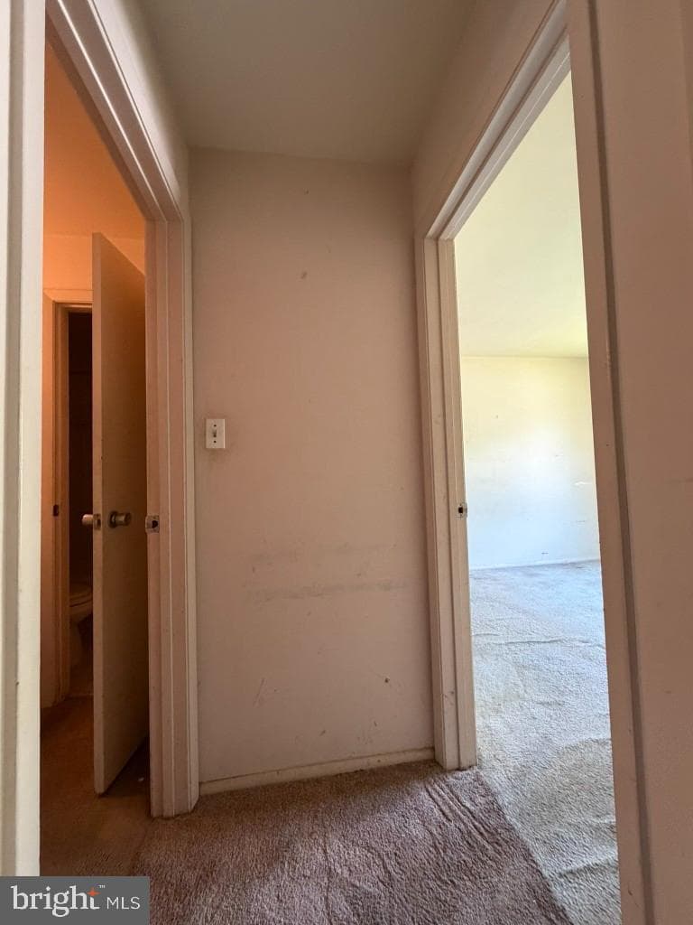 5364 Smooth Meadow Way #6 photo 15
