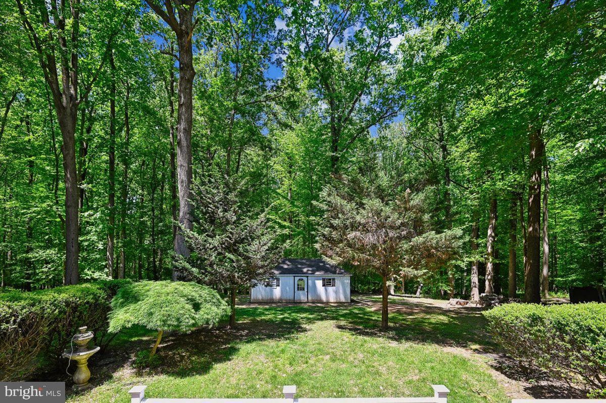 7302 Meadow Wood Way photo 101