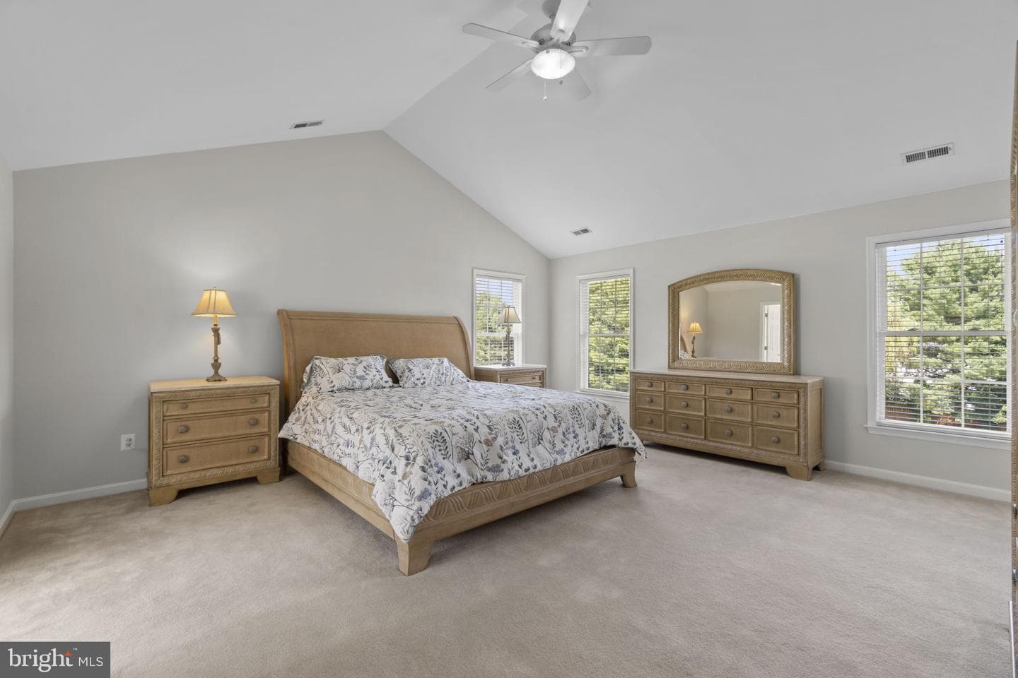 11119 Willow Green Way photo 22