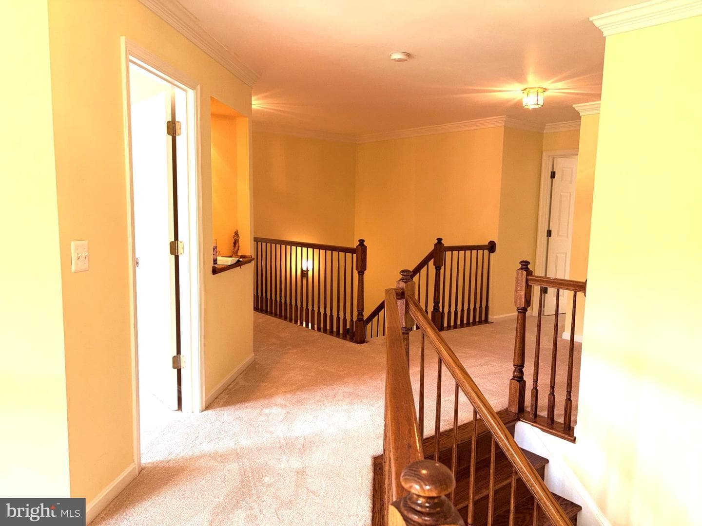 15528 Cattail Oaks photo 21