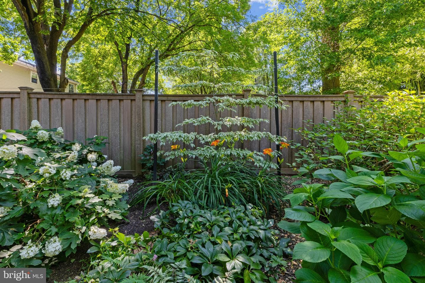 9922 Frederick Road photo 53