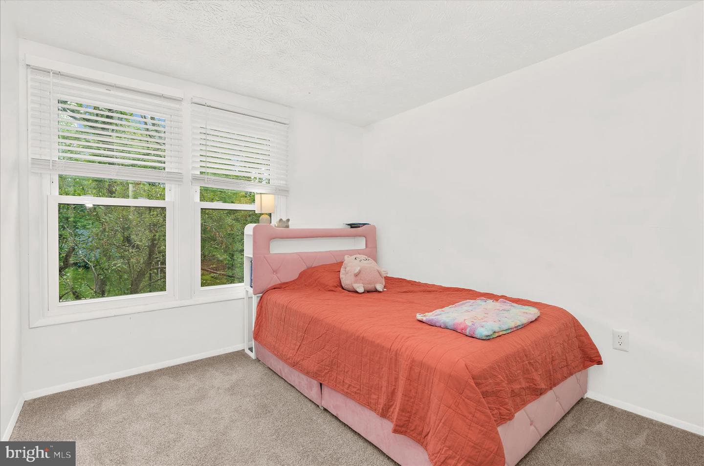 10611 Delfield Court photo 11