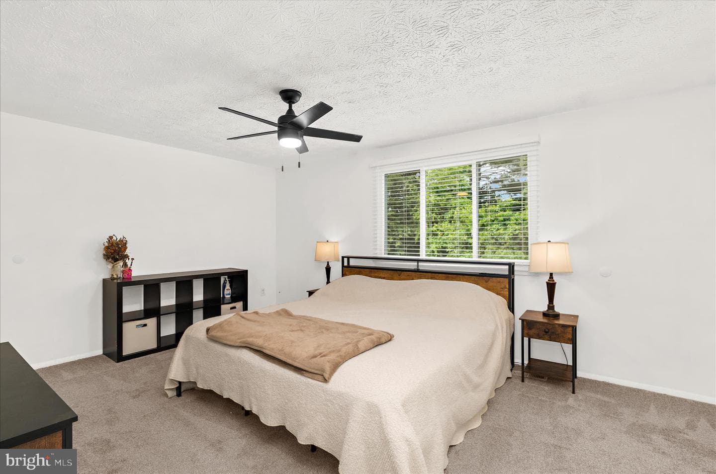10611 Delfield Court photo 8