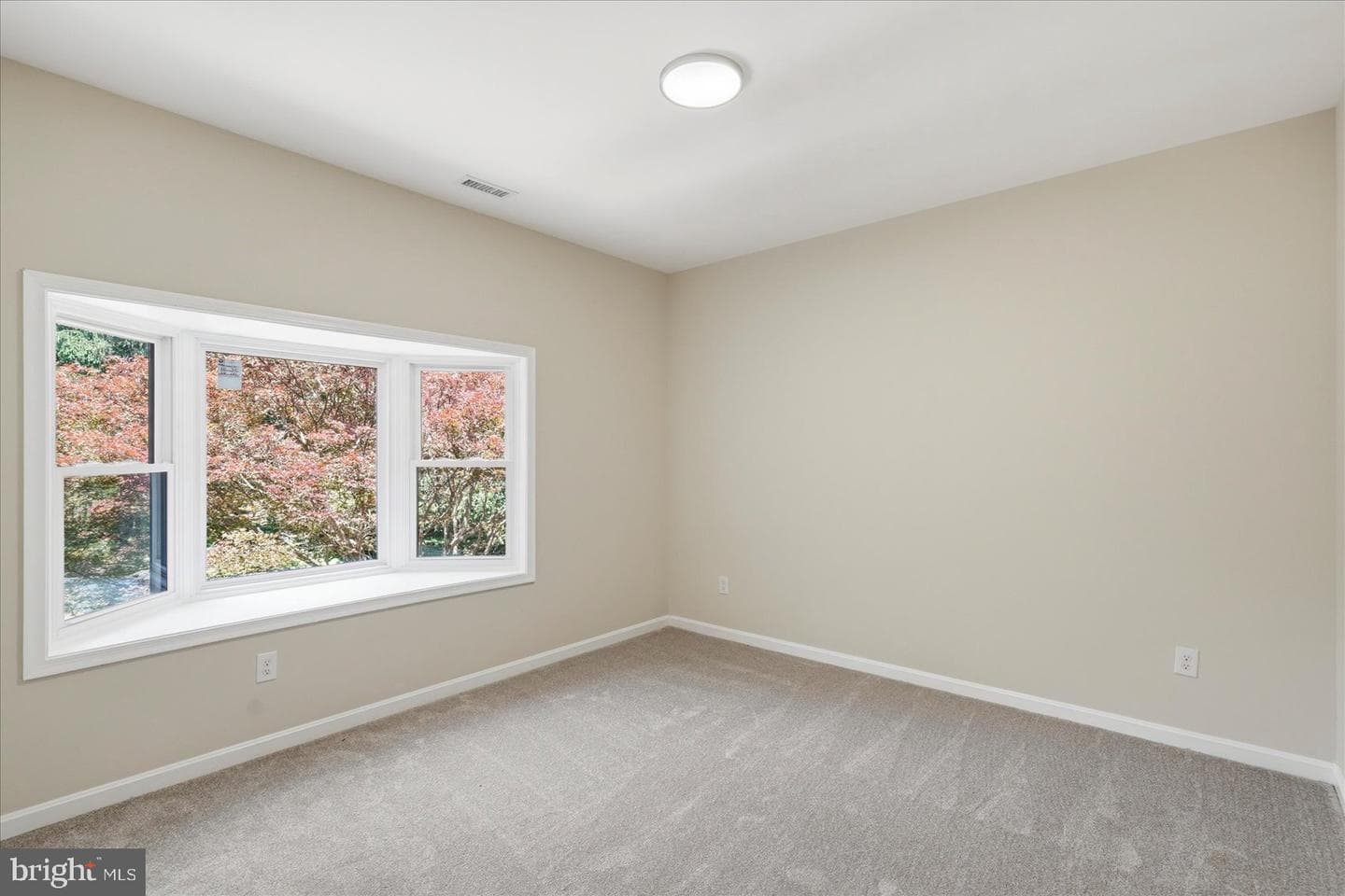 11725 Middle Patuxent Court photo 46
