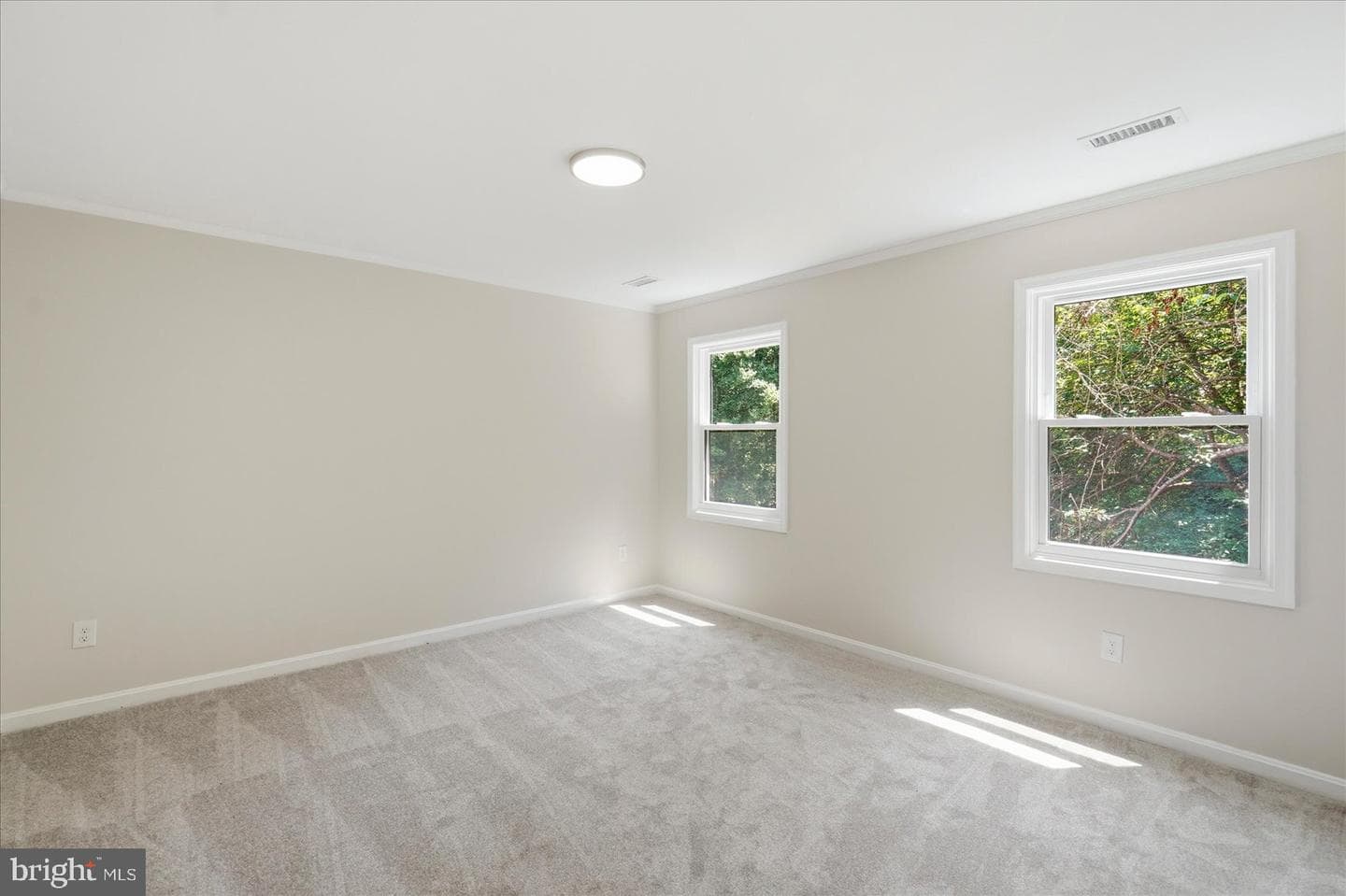 11725 Middle Patuxent Court photo 47