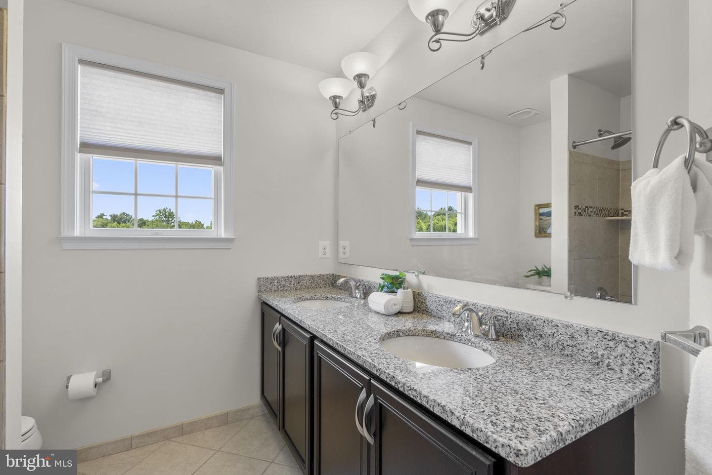 14078 Patterson Farm Court photo 47