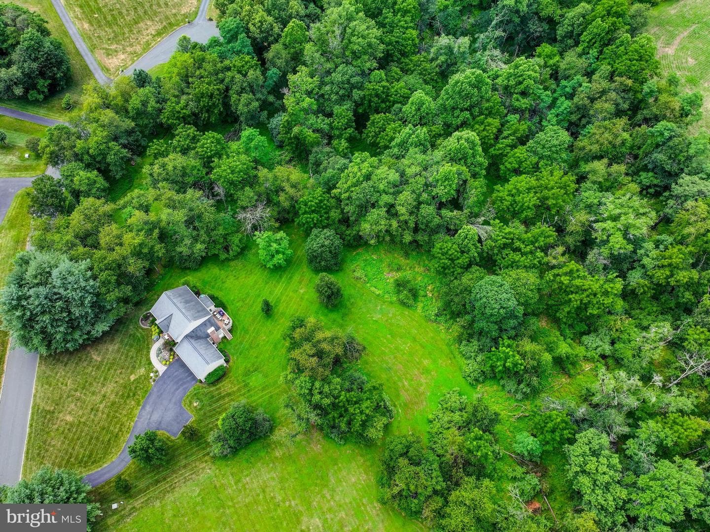 12806 Forestview Court photo 52