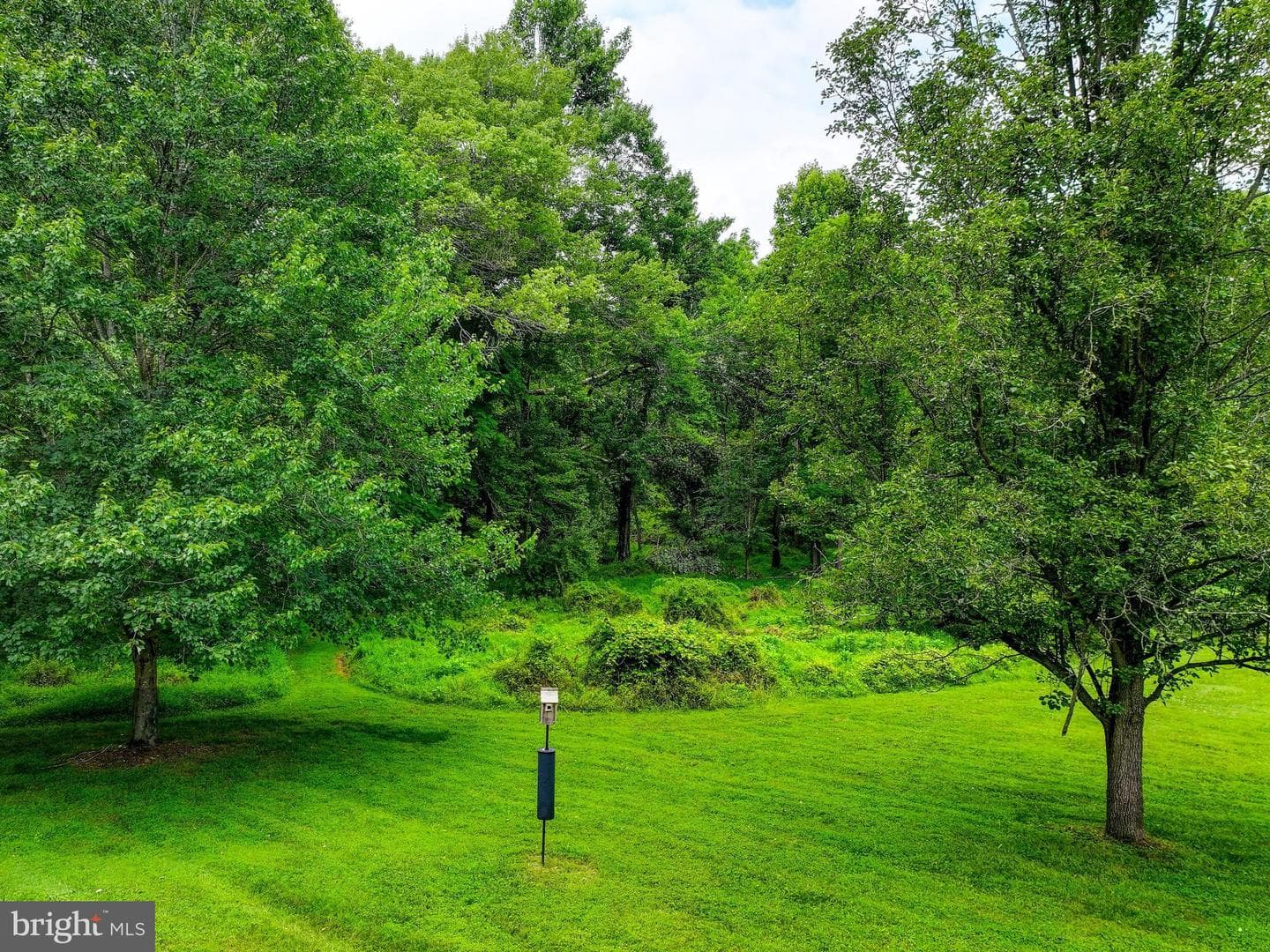 12806 Forestview Court photo 58