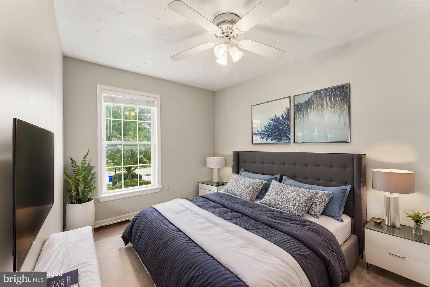 6437 Julie Ann Drive photo 41