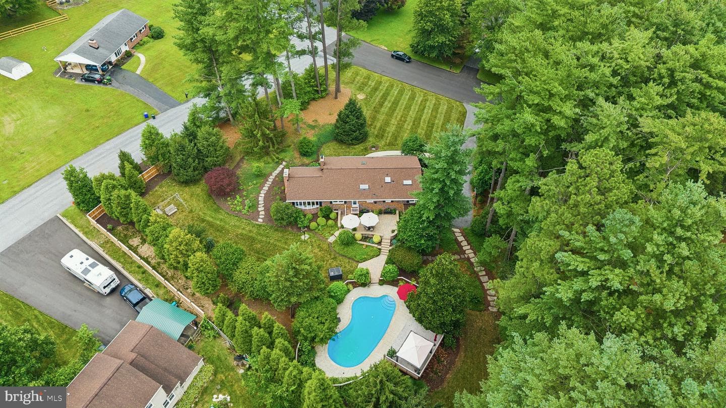 10173 Green Clover Drive photo 57