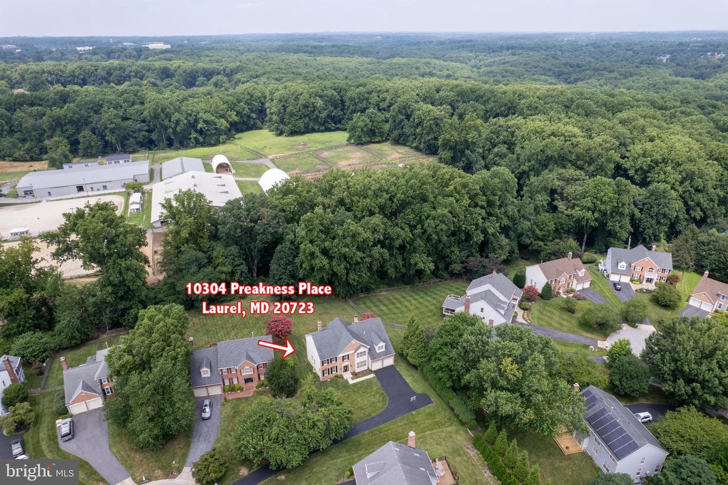 10304 Preakness Place photo 51