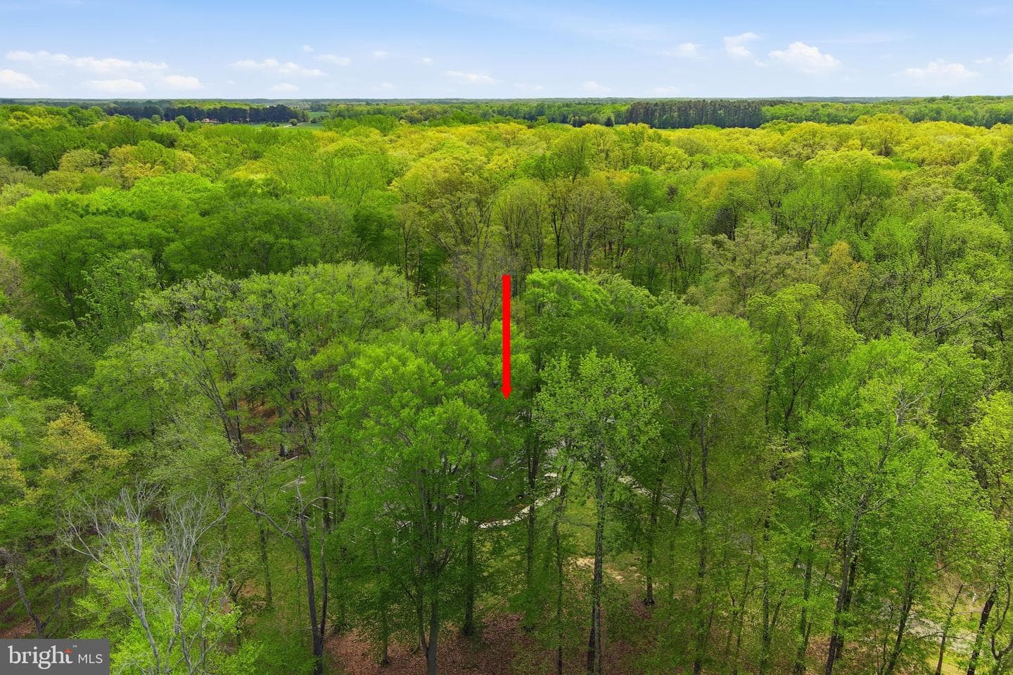 25475 Turnberry Court photo 60