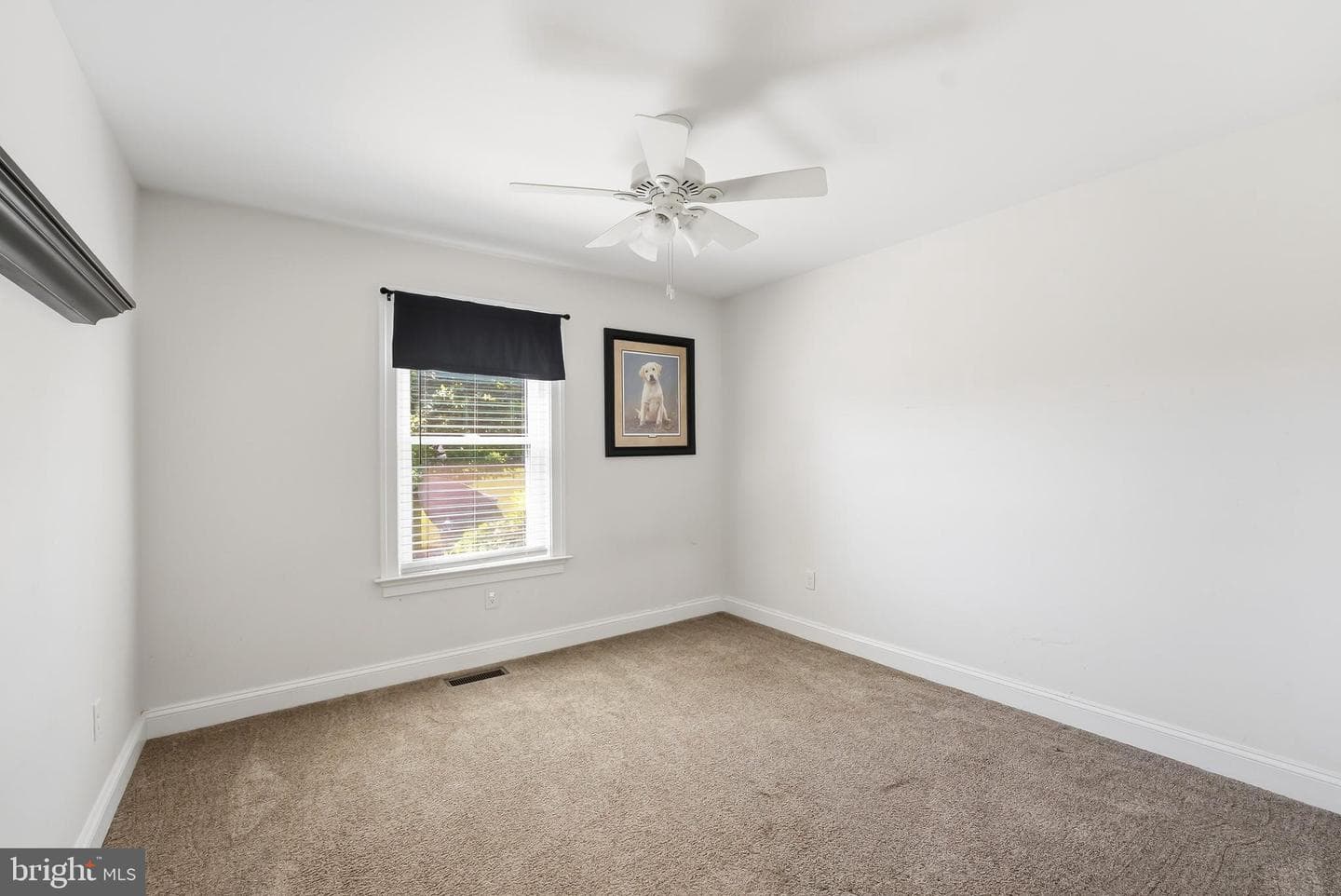 10672 Worton Road photo 52