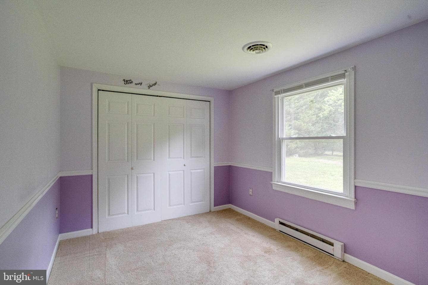 22481 Goose Hollow Drive photo 33