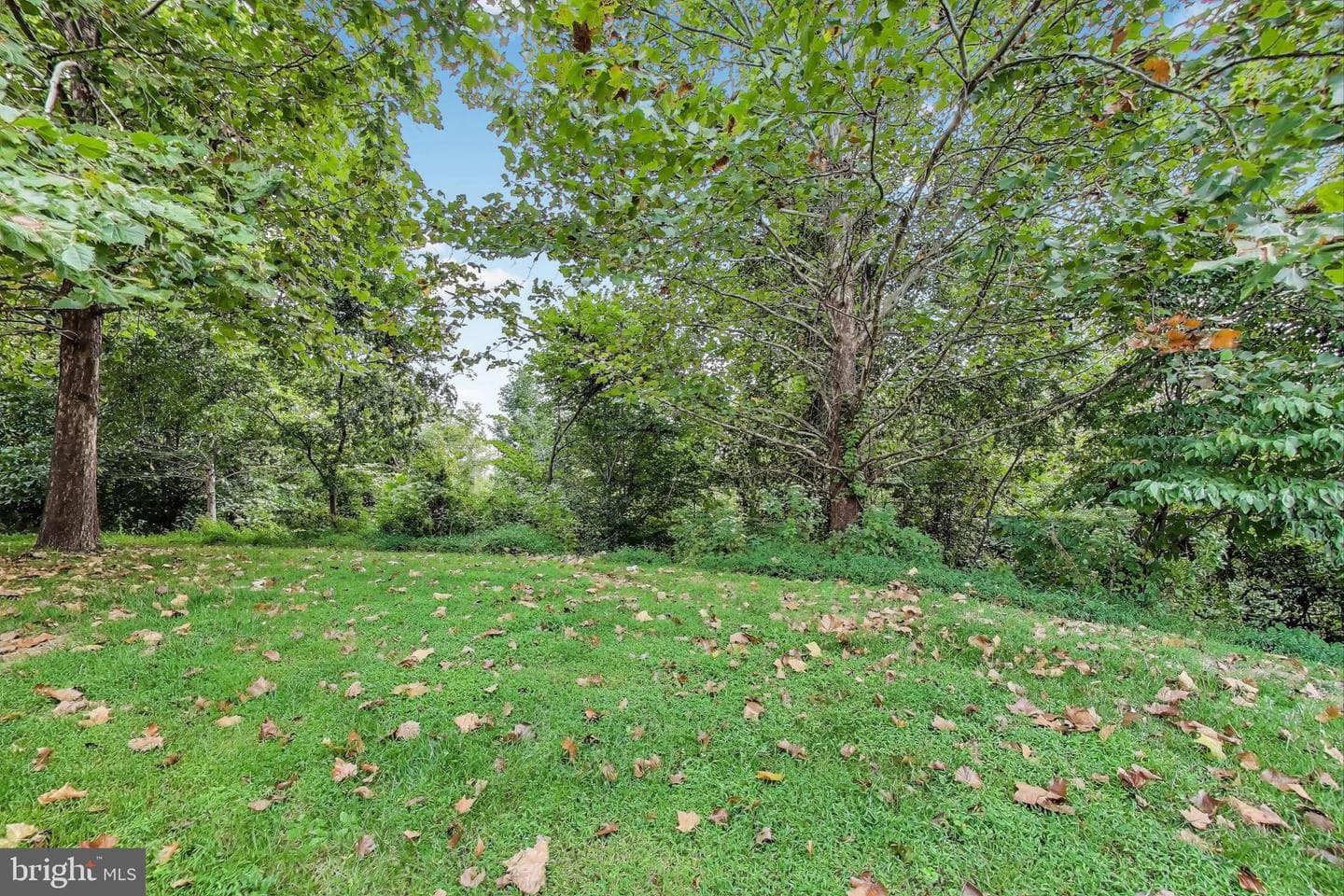 8213 River Quarry Place photo 54