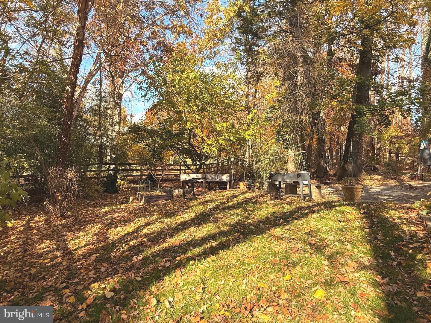 11512 Le Havre Drive photo 62