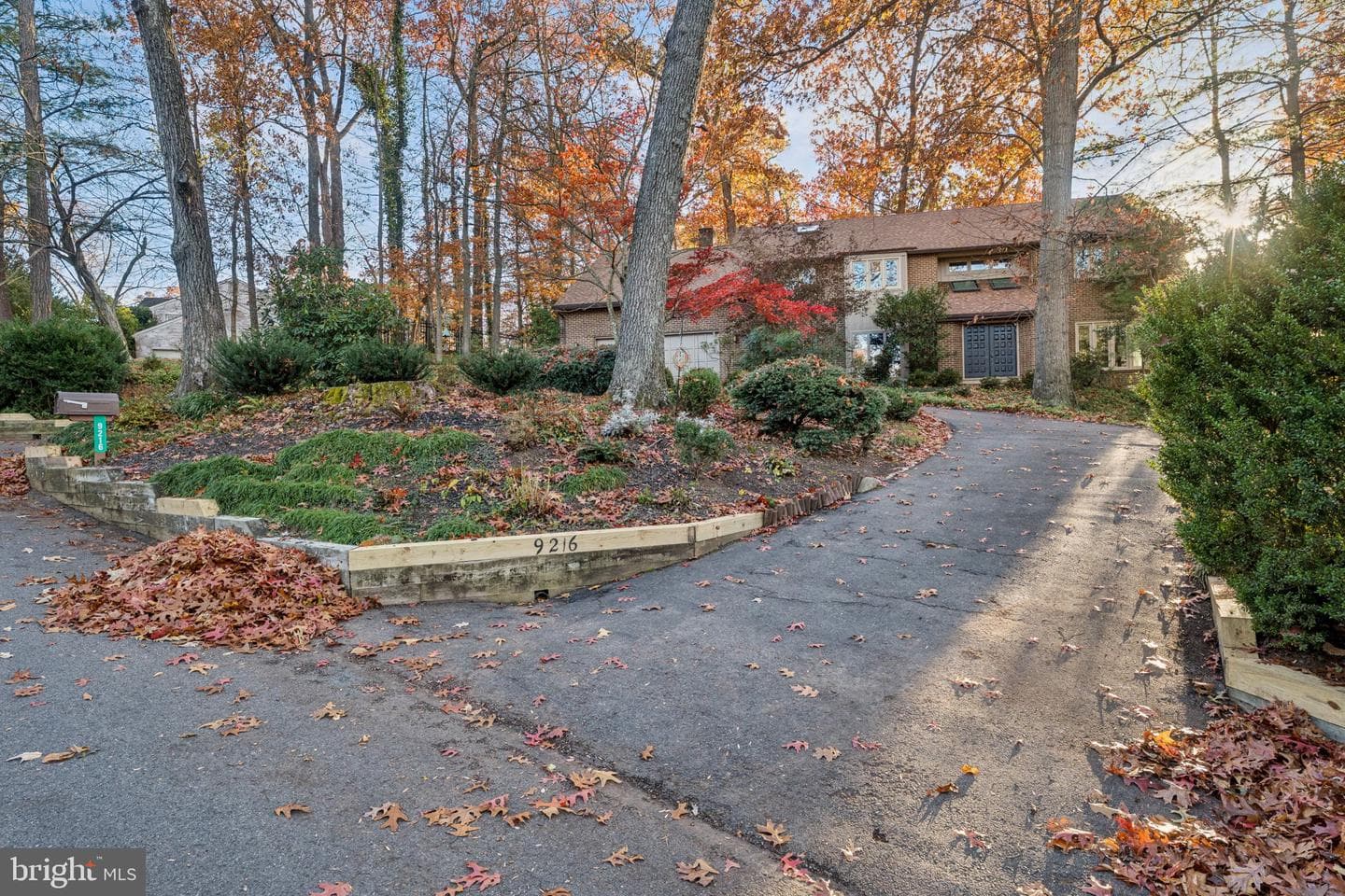 9216 Beech Hill Drive photo 2