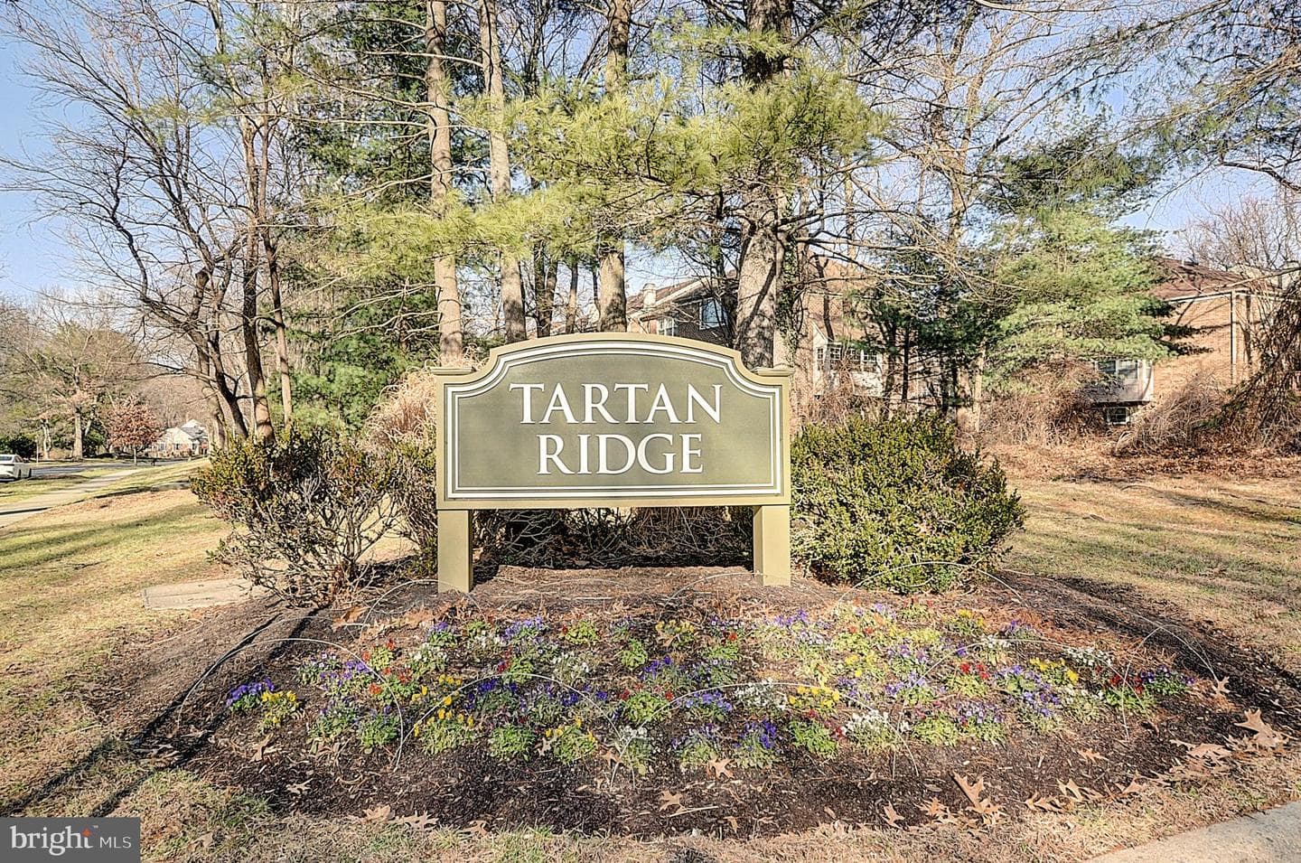 11323 Baritone Court photo 2