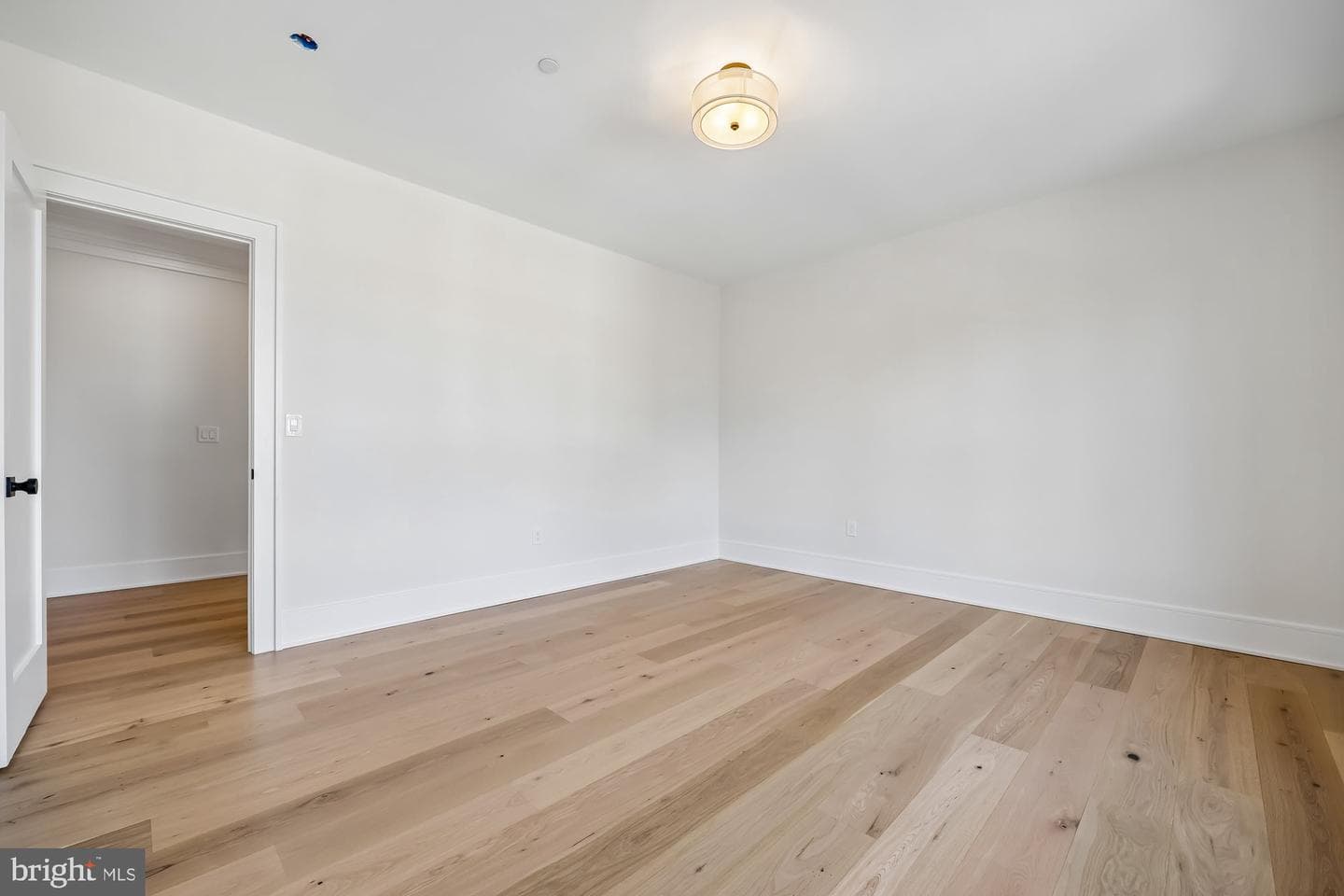 3404 Pauline Drive photo 48