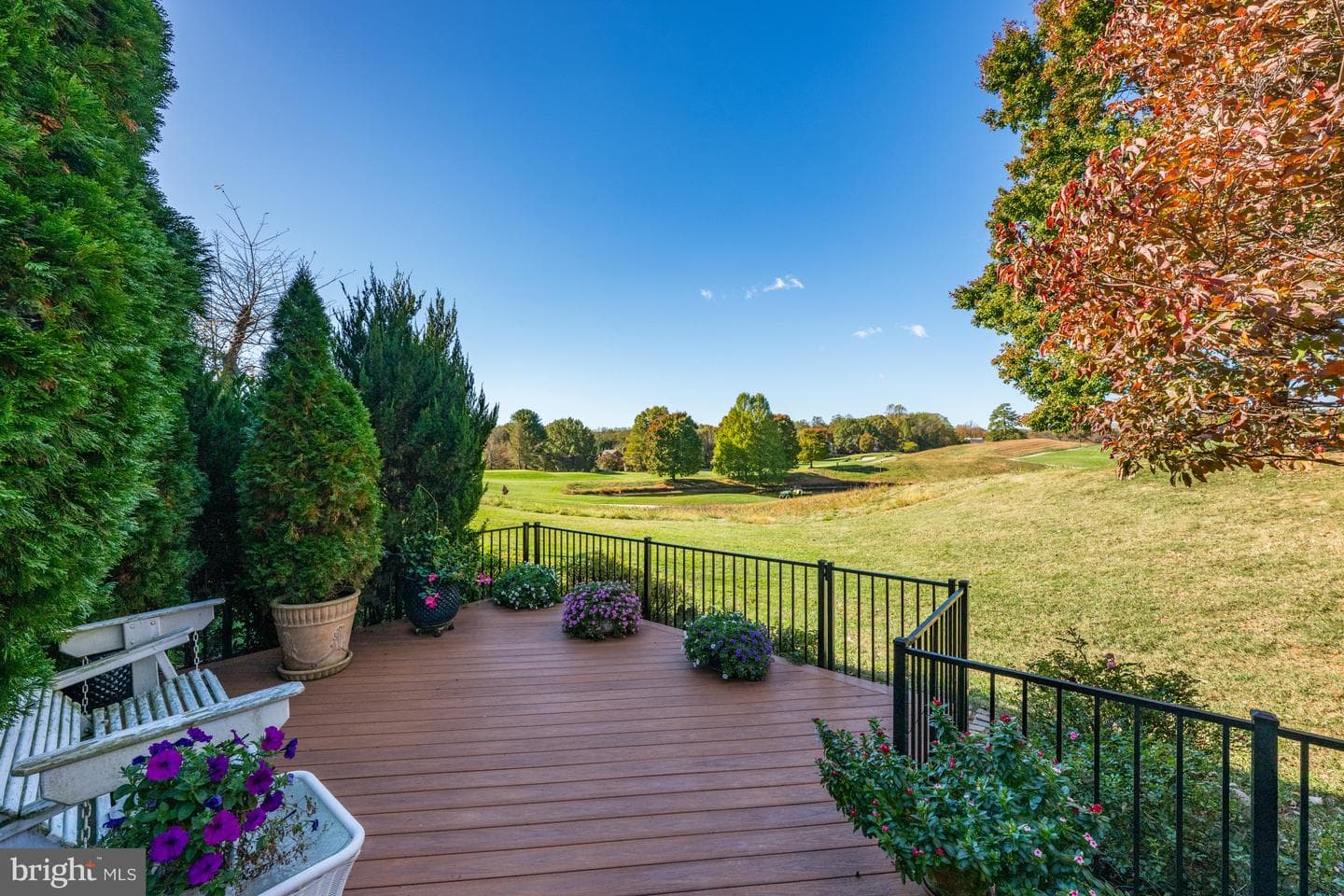 18 Beman Woods Court photo 5